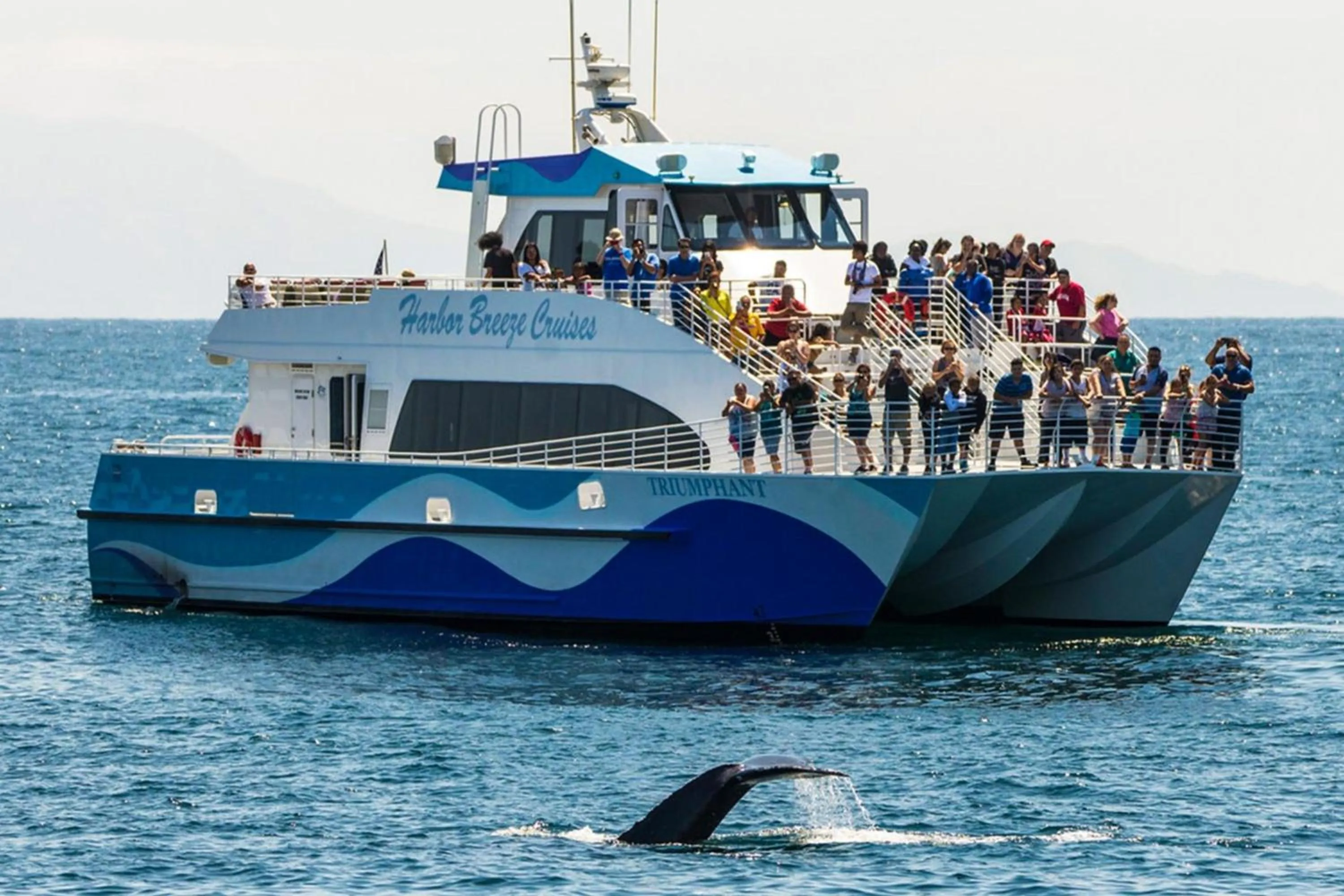 Other in Marriott Long Beach Downtown