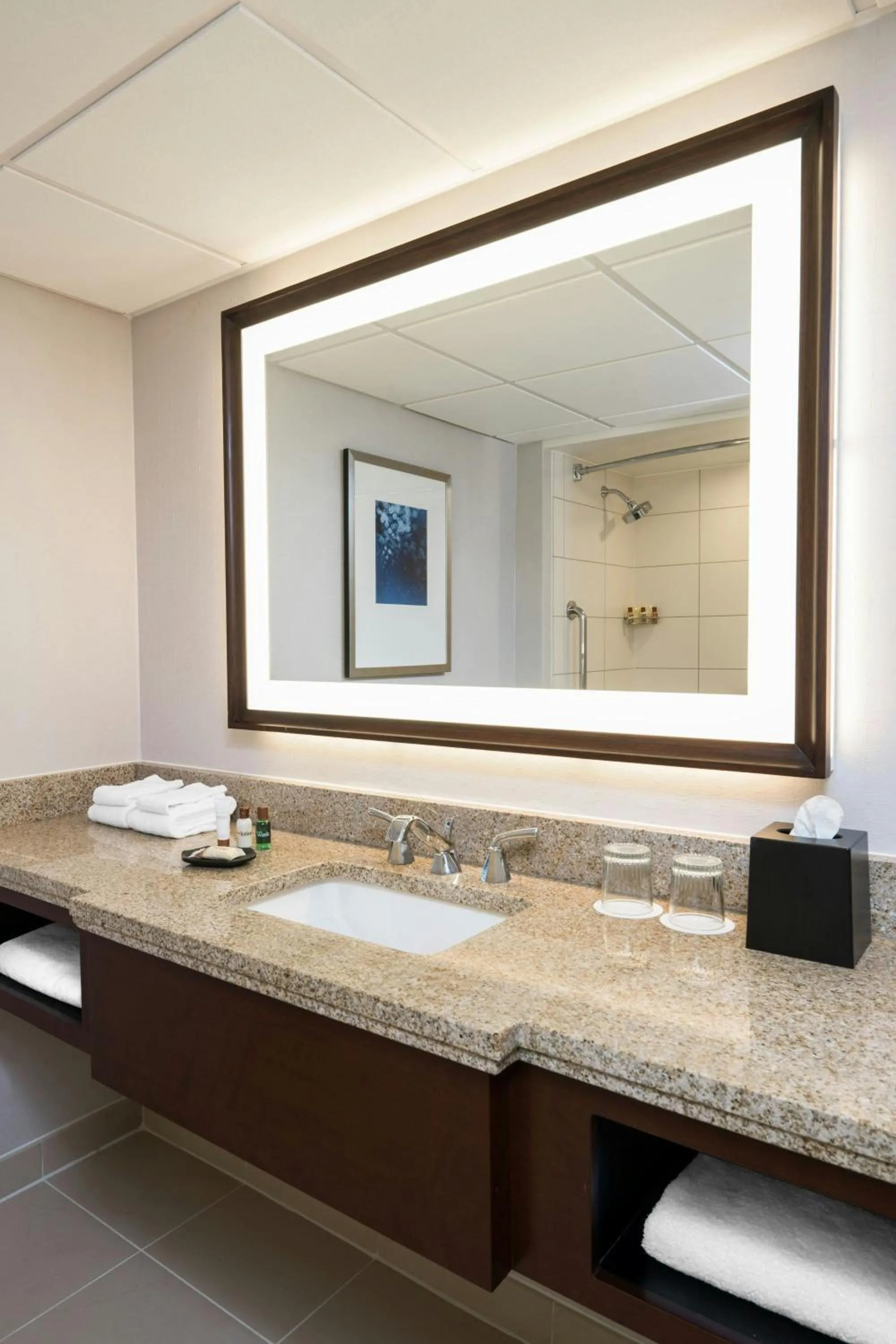 Bathroom in Memphis Riverline Hotel