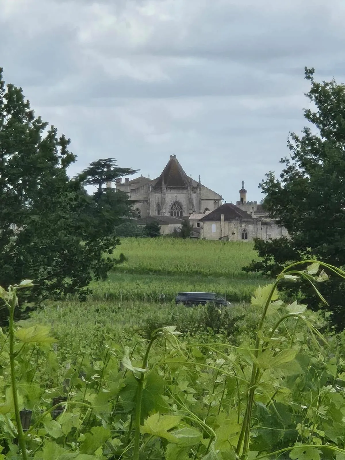 Natural landscape in Château de Courtebotte