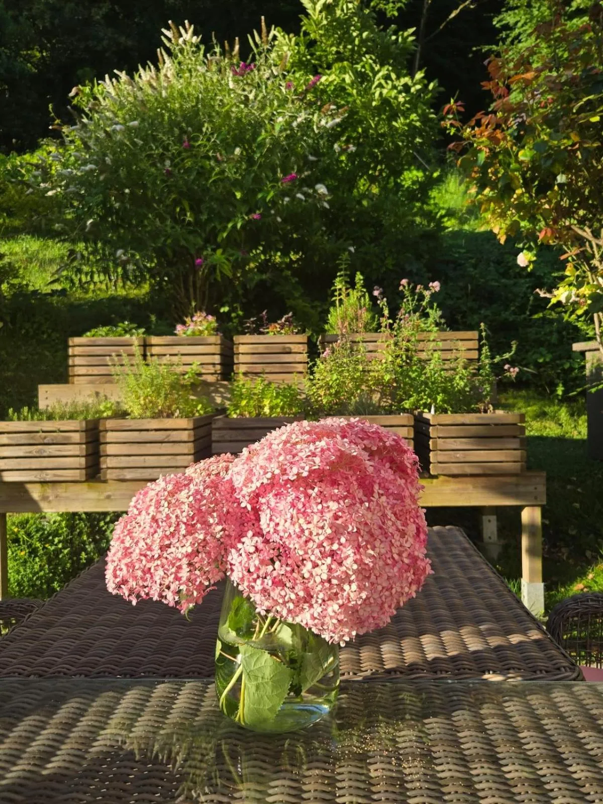 Garden view in Château de Courtebotte