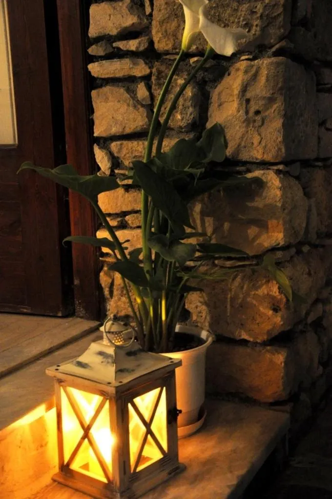 Balcony/Terrace in Hotel Sofia