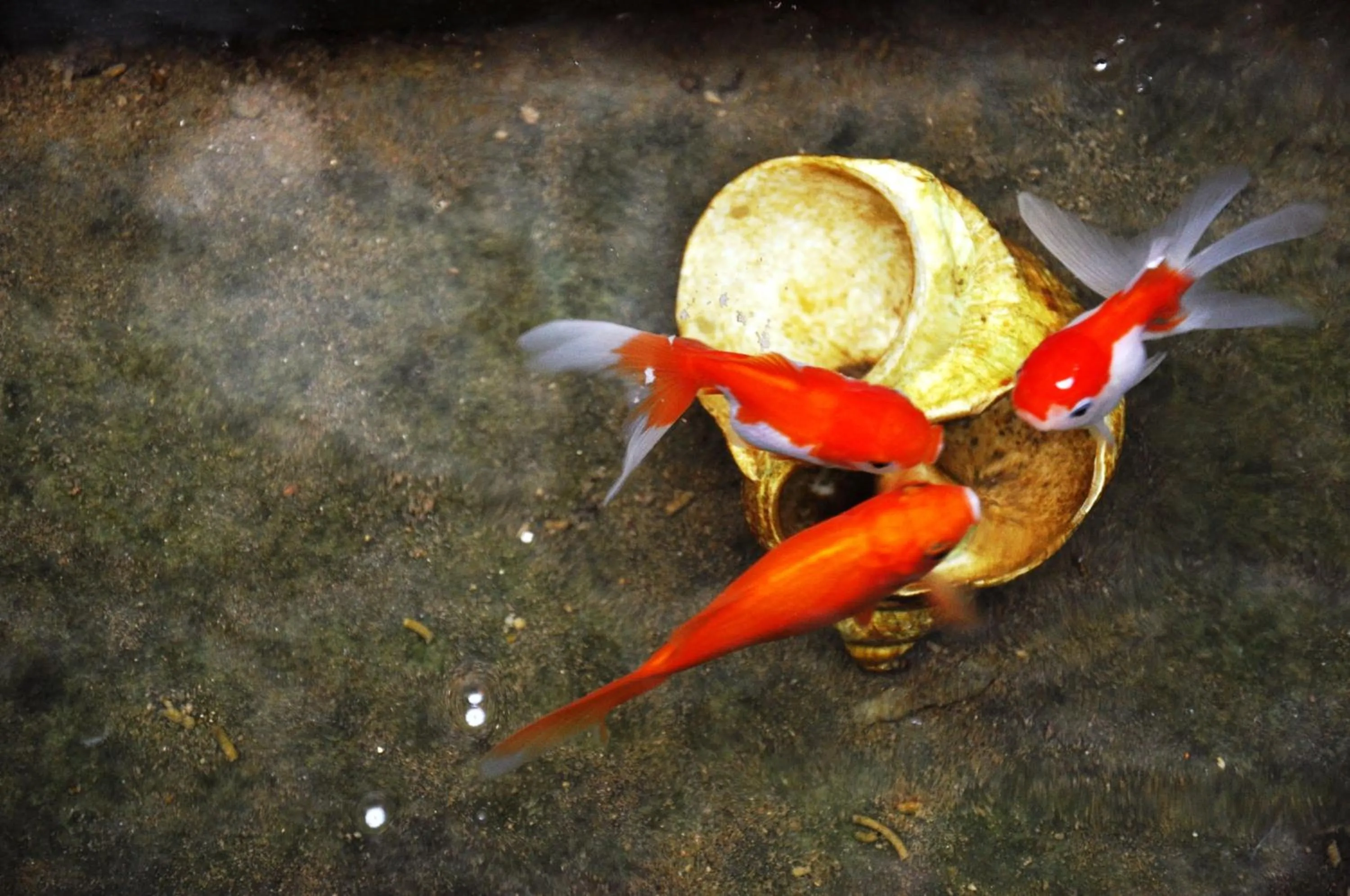 Other in Hotel Sofia