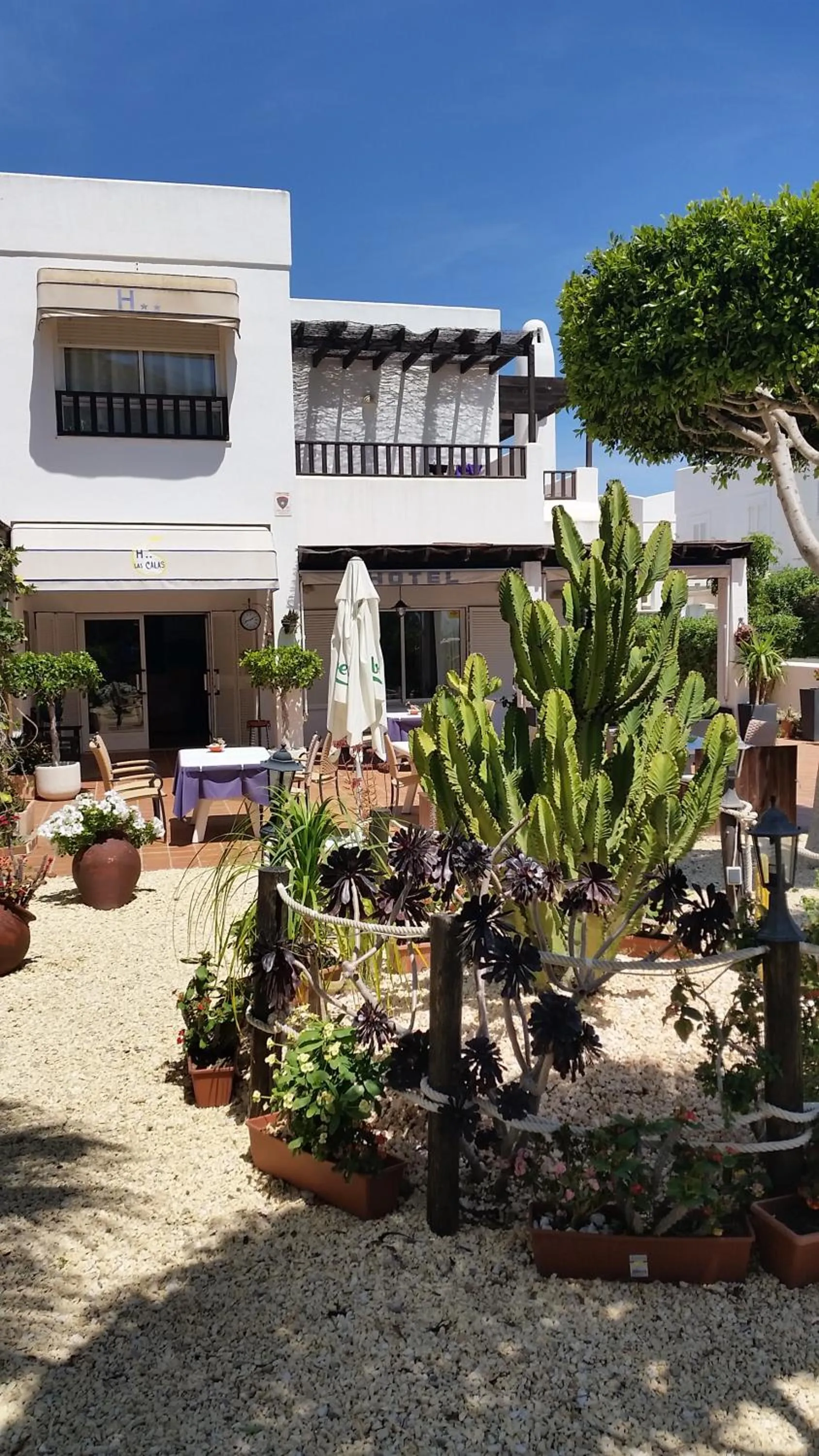 Garden in Hotel las Calas