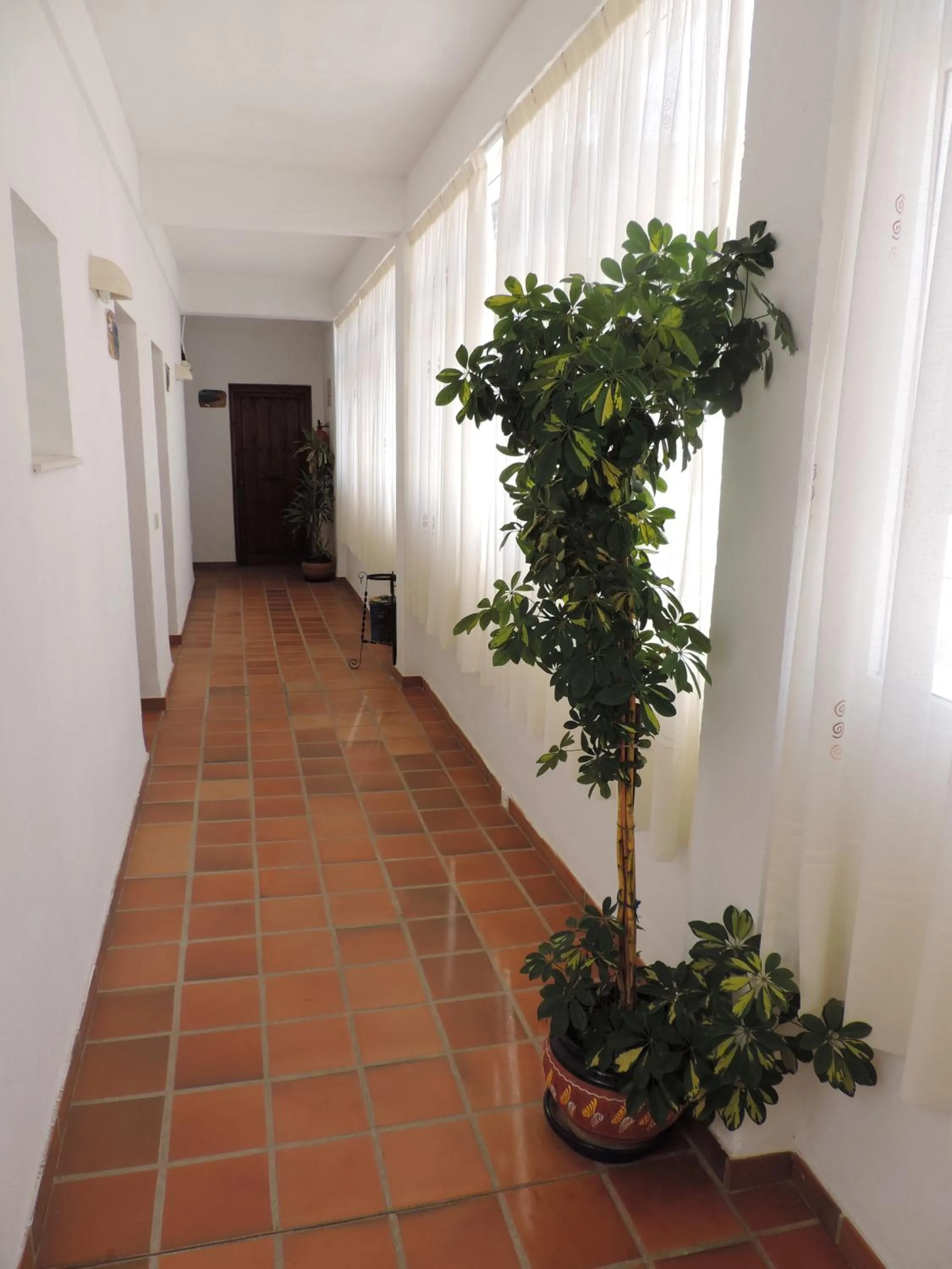 Property building in Hotel las Calas
