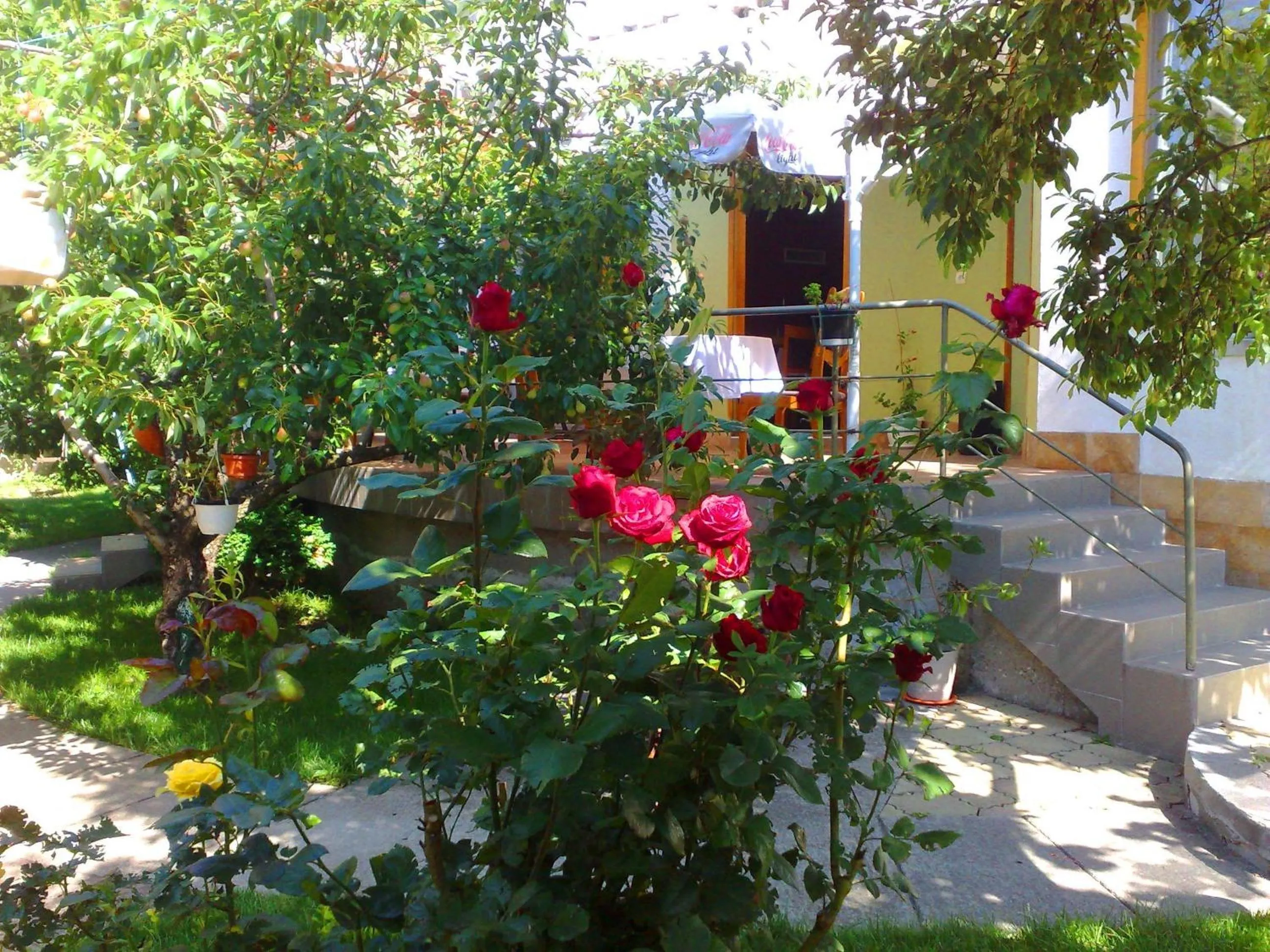 Restaurant/places to eat in Family Hotel Sonata