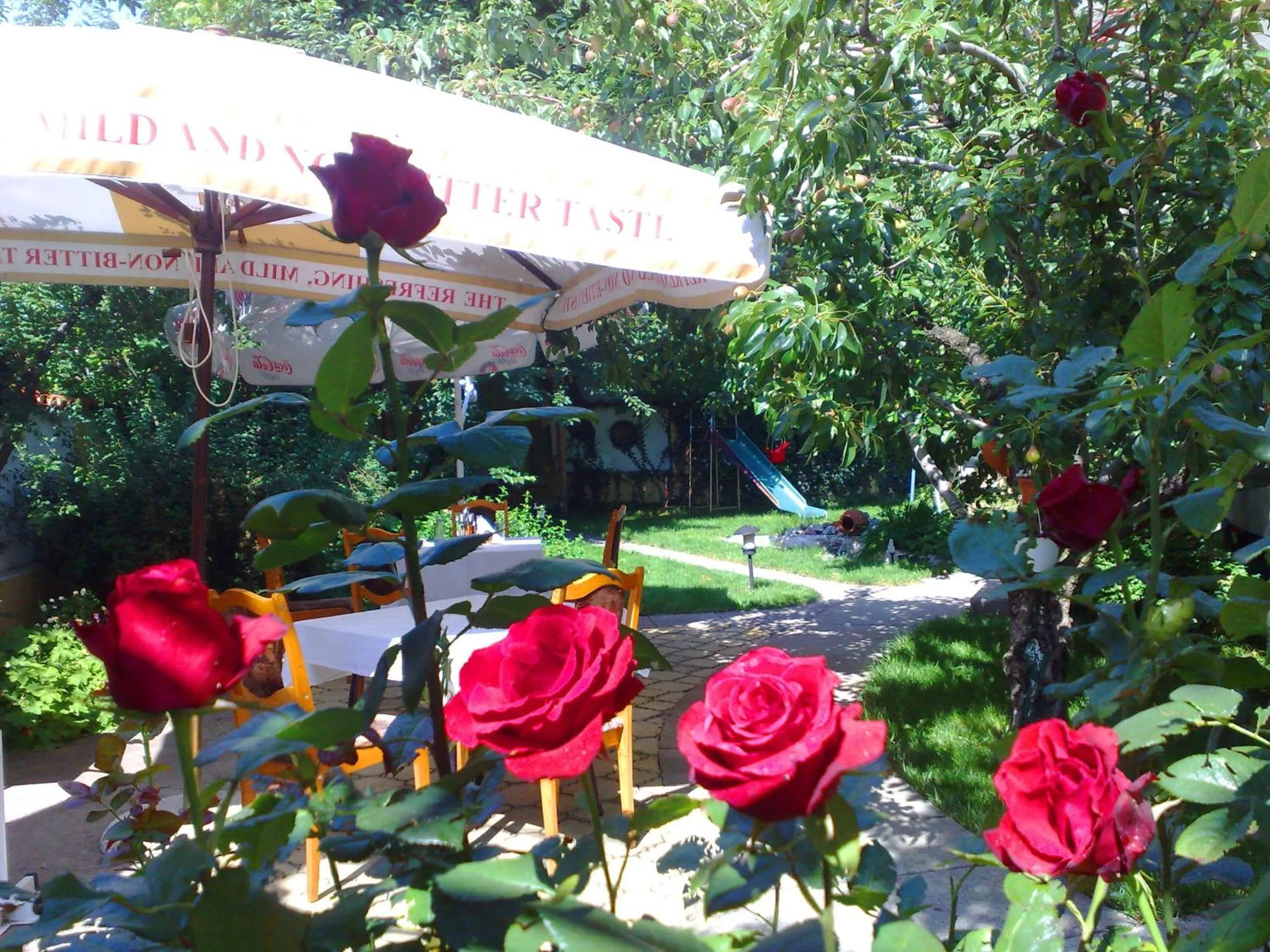 Garden in Family Hotel Sonata