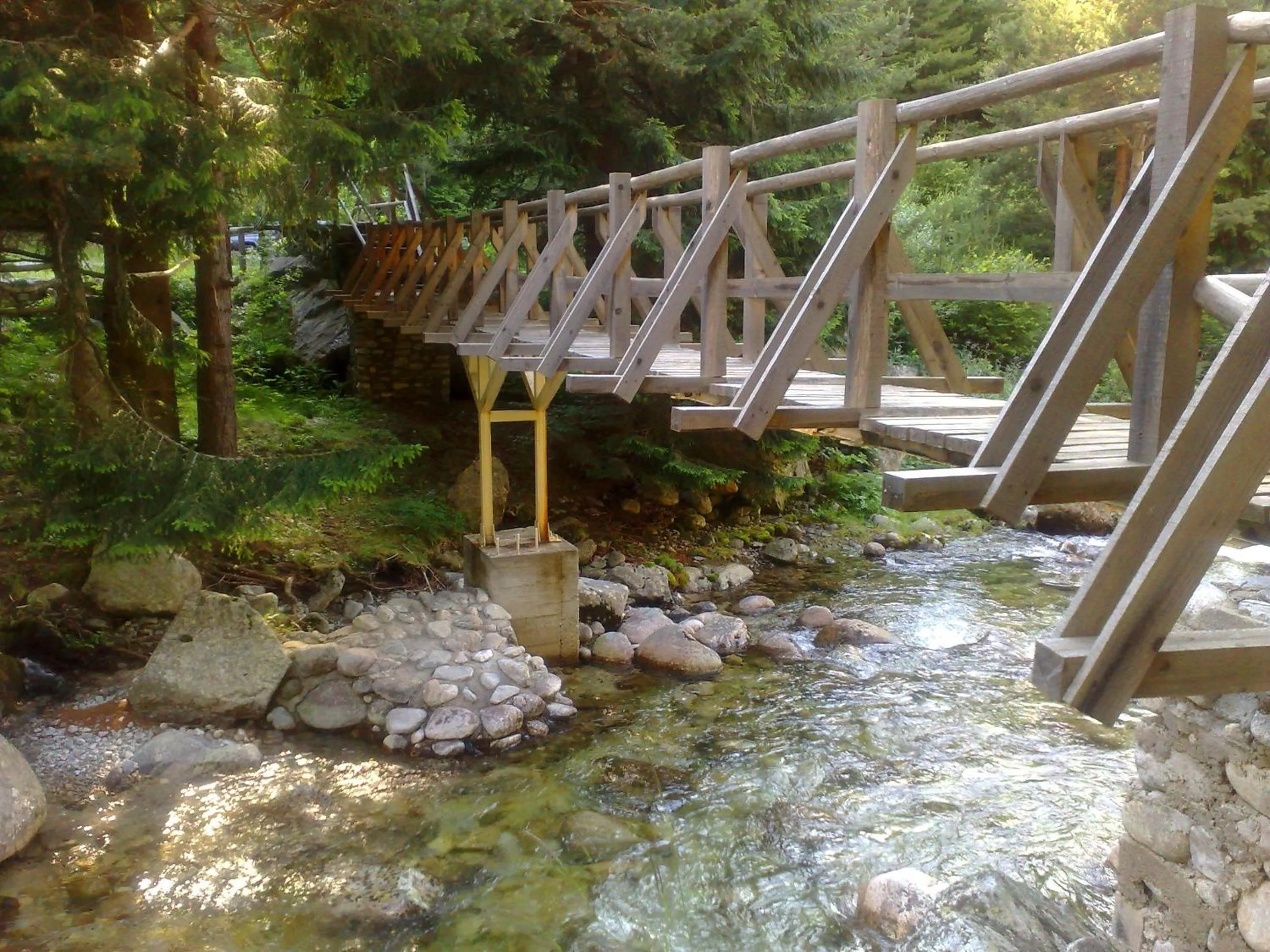 Area and facilities in Family Hotel Sonata