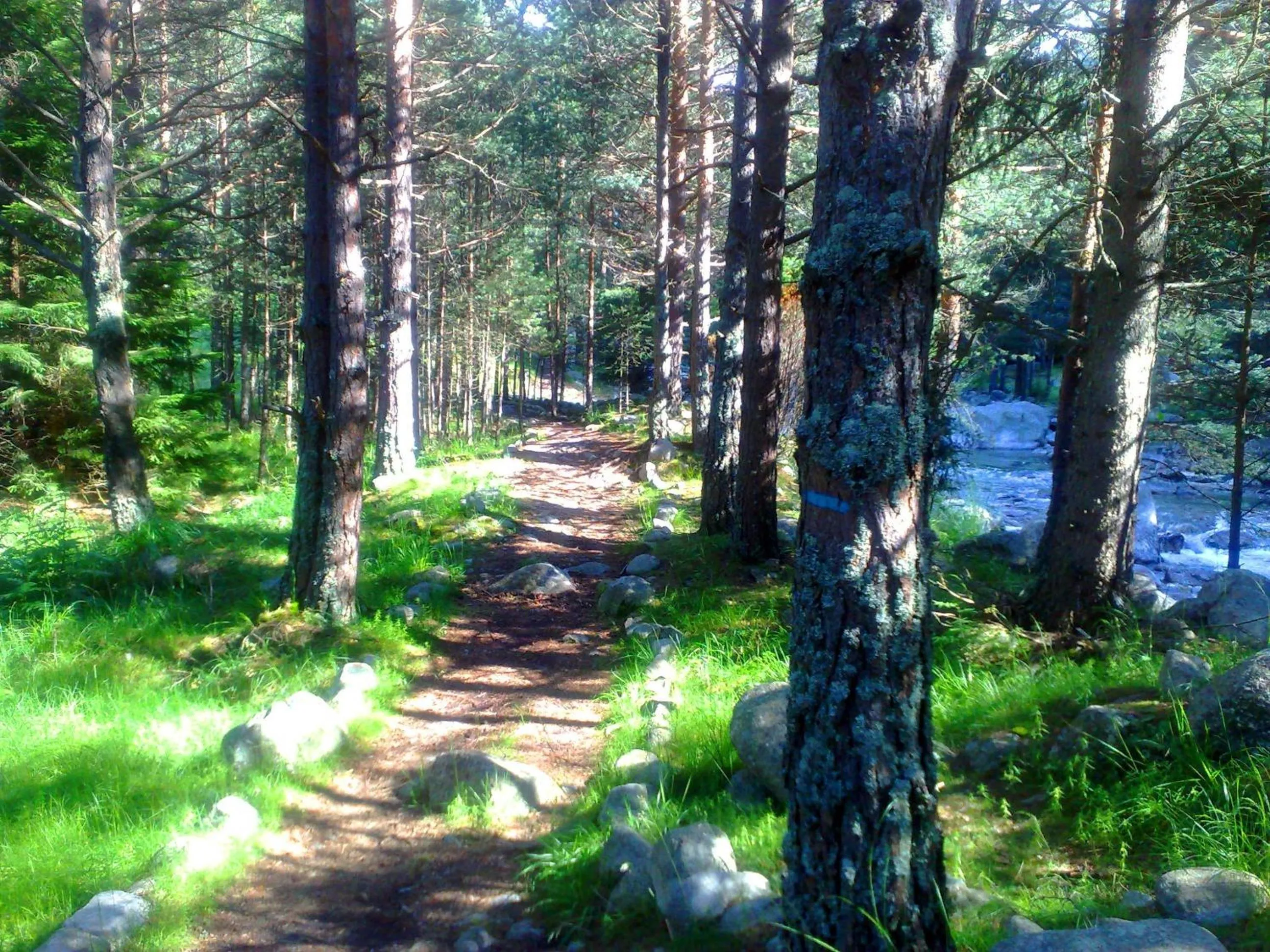 Natural landscape in Family Hotel Sonata