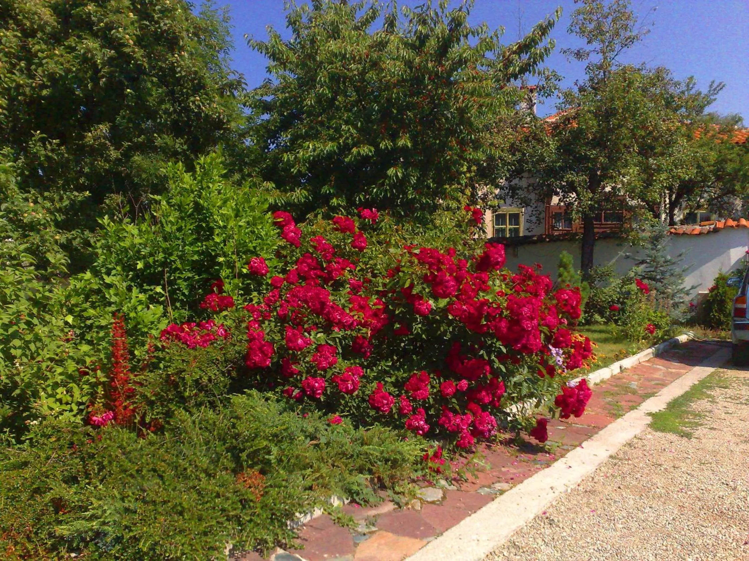 Garden in Family Hotel Sonata
