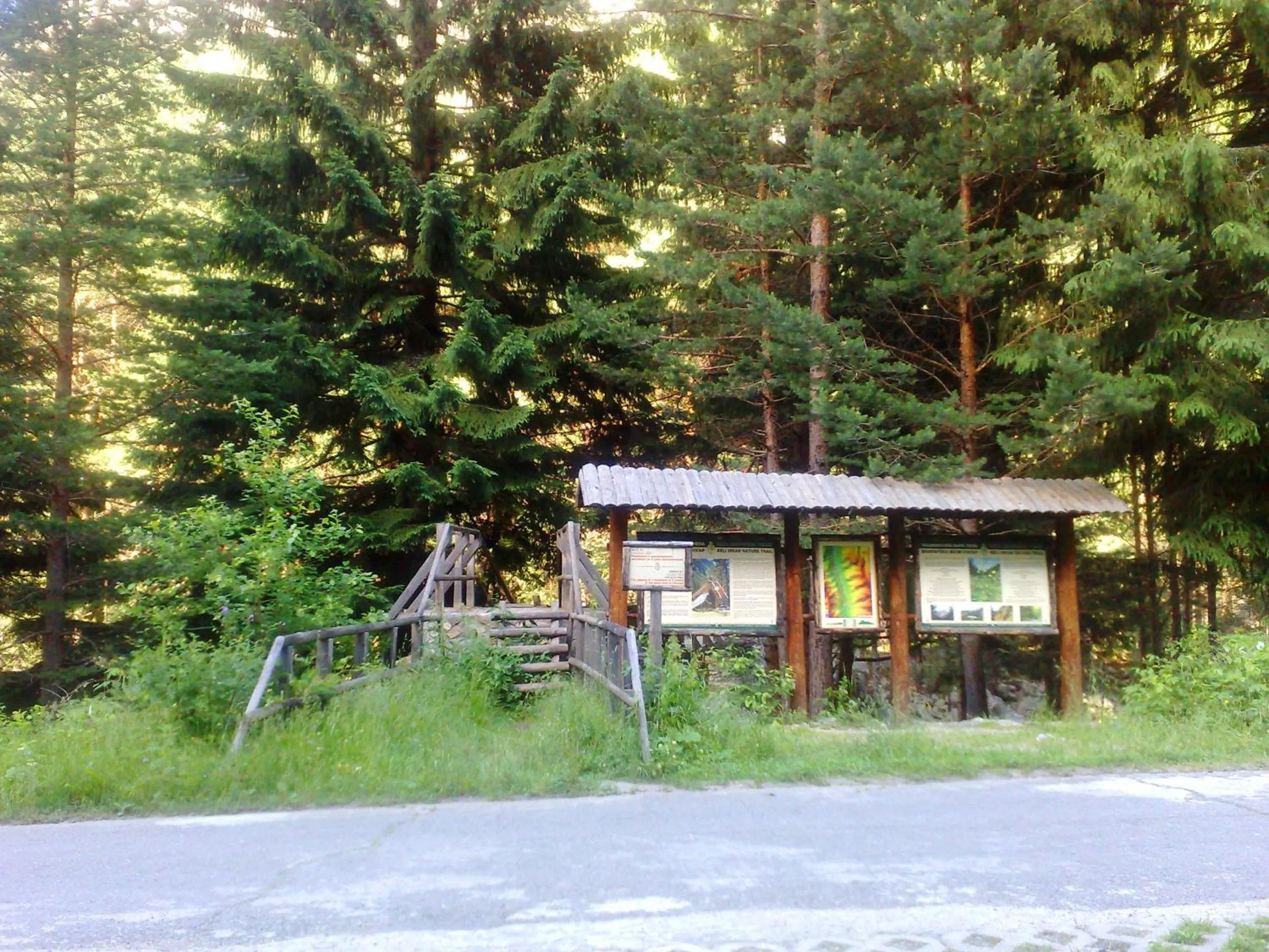 Activities in Family Hotel Sonata