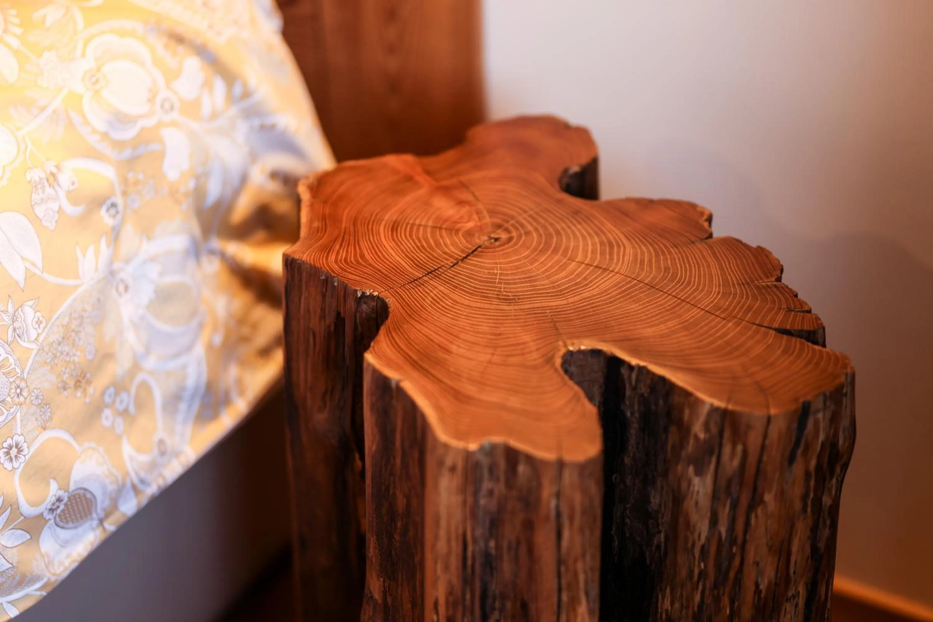 Decorative detail in Maison d'hôtes & SPA La Scierie