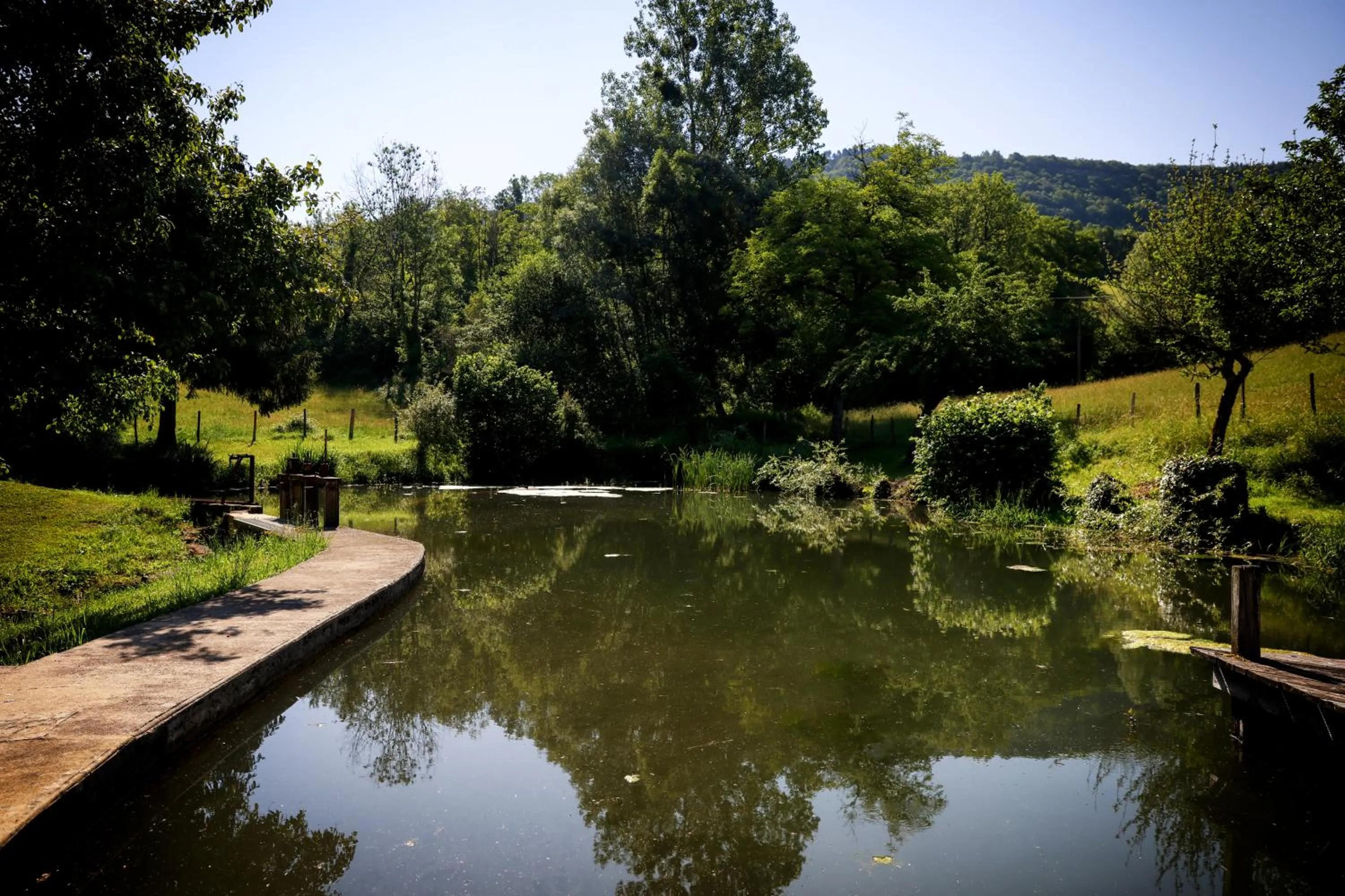 Garden in Maison d'hôtes & SPA La Scierie