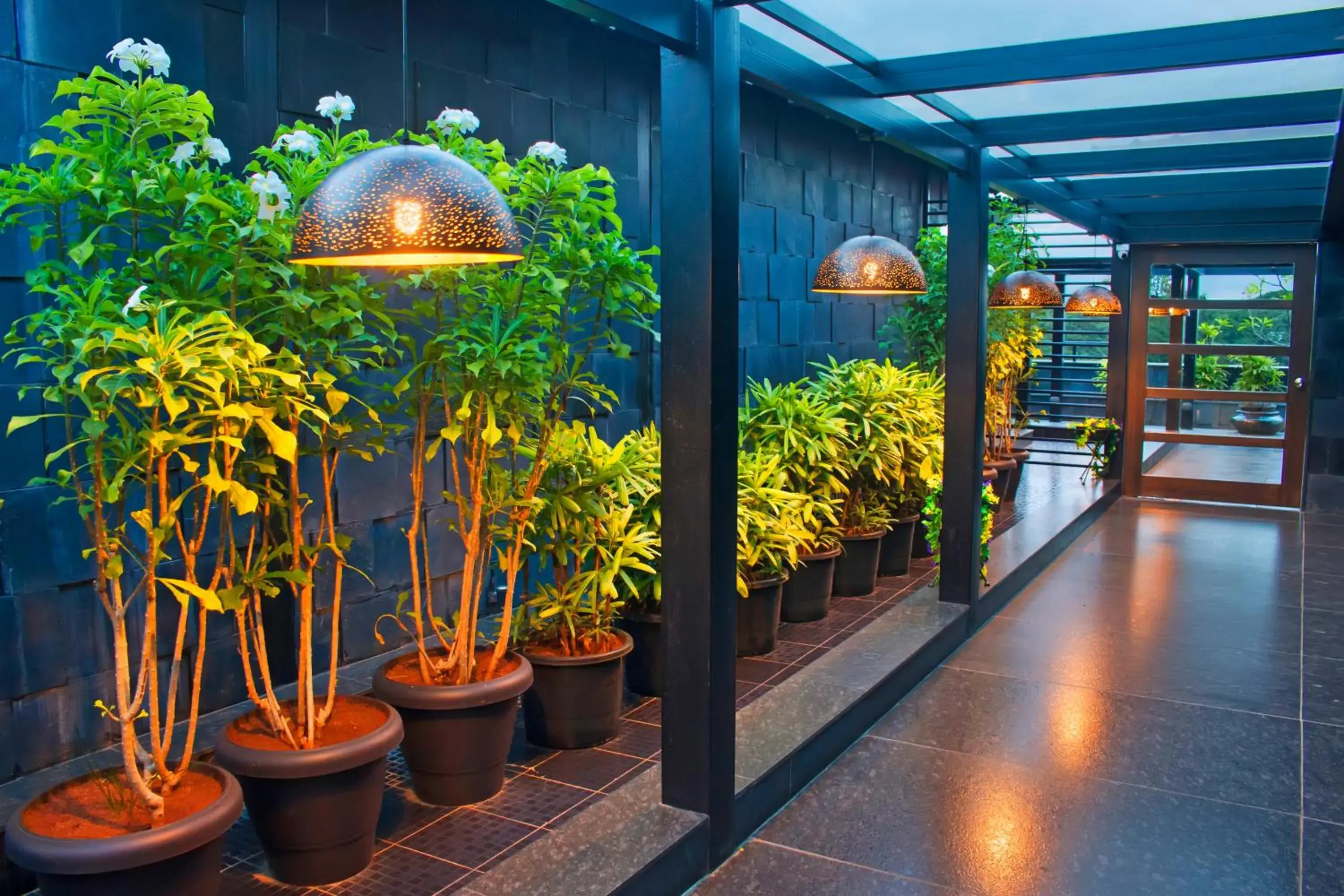 Garden view in President Hotel Garden view in President Hotel