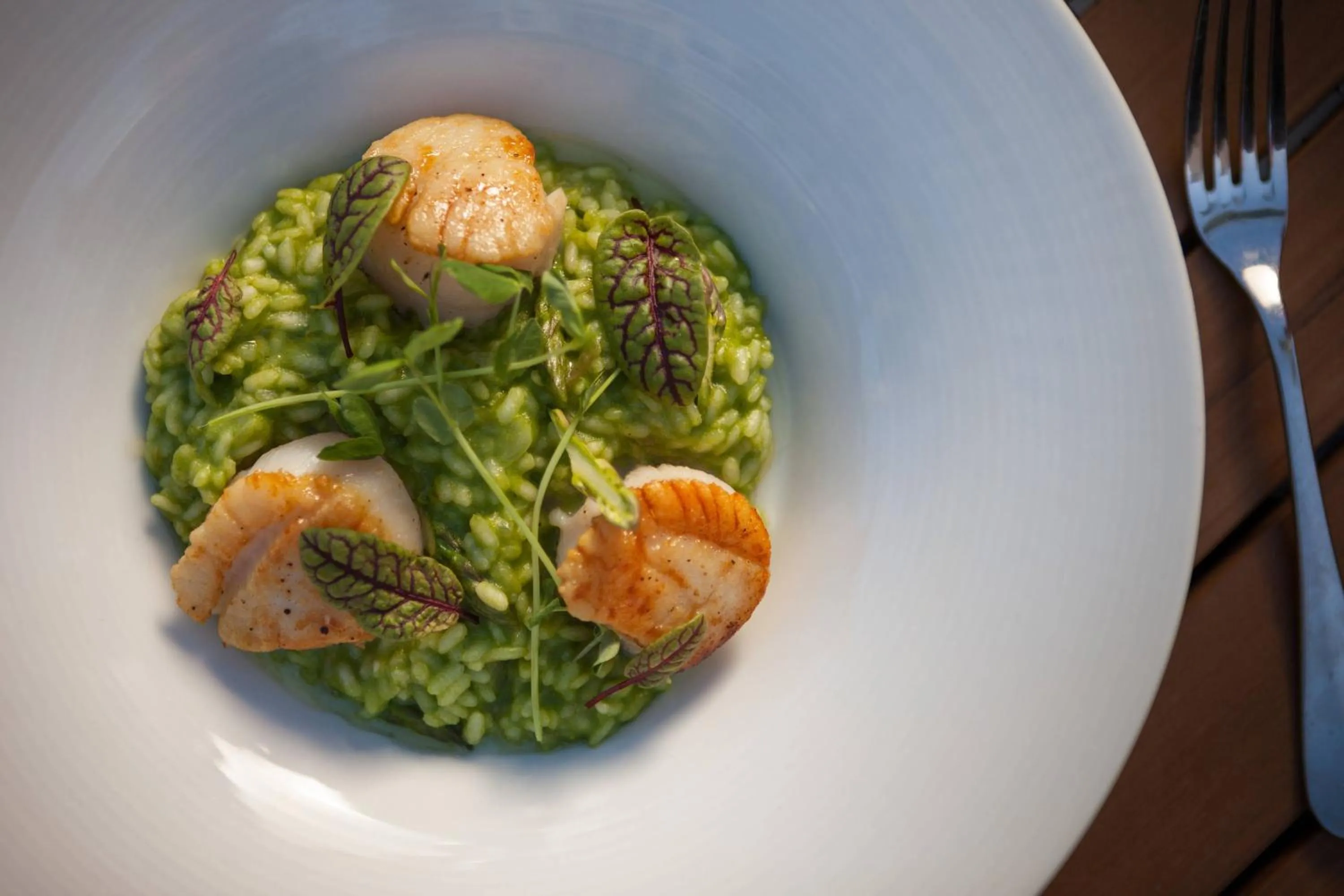 Restaurant/places to eat in West Palm Beach Marriott