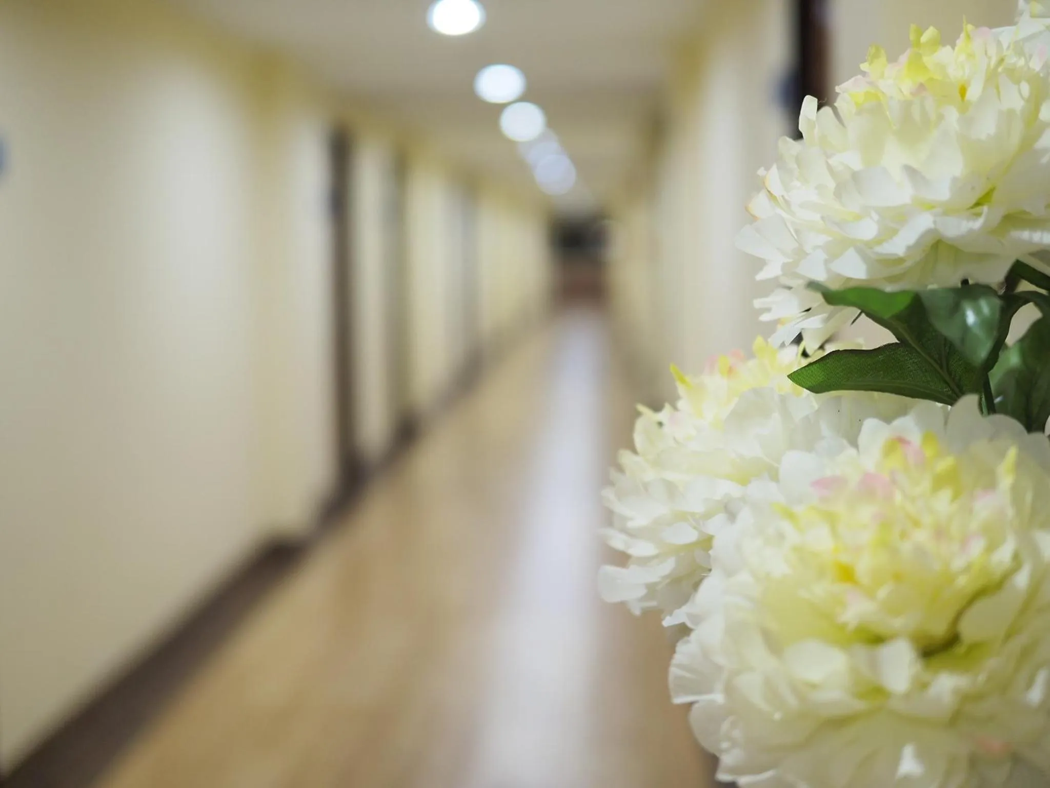 Property building in Luckswan Boutique Chiang Rai - SHA Extra Plus