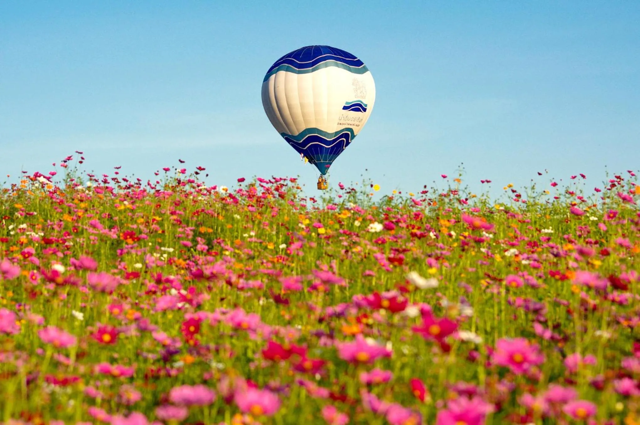 Nearby landmark in Luckswan Boutique Chiang Rai - SHA Extra Plus