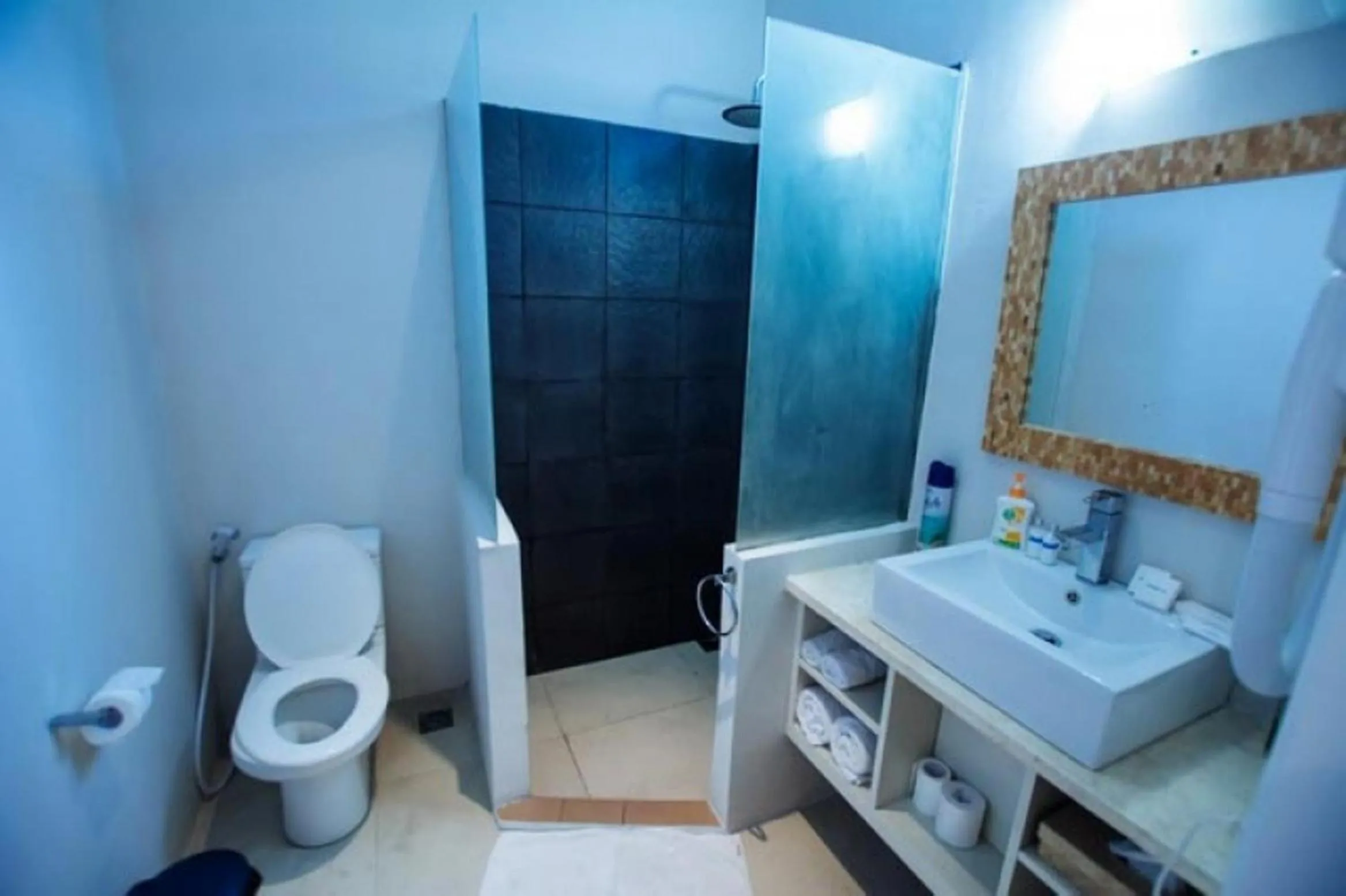Shower in Sun Shoot Villas Seminyak