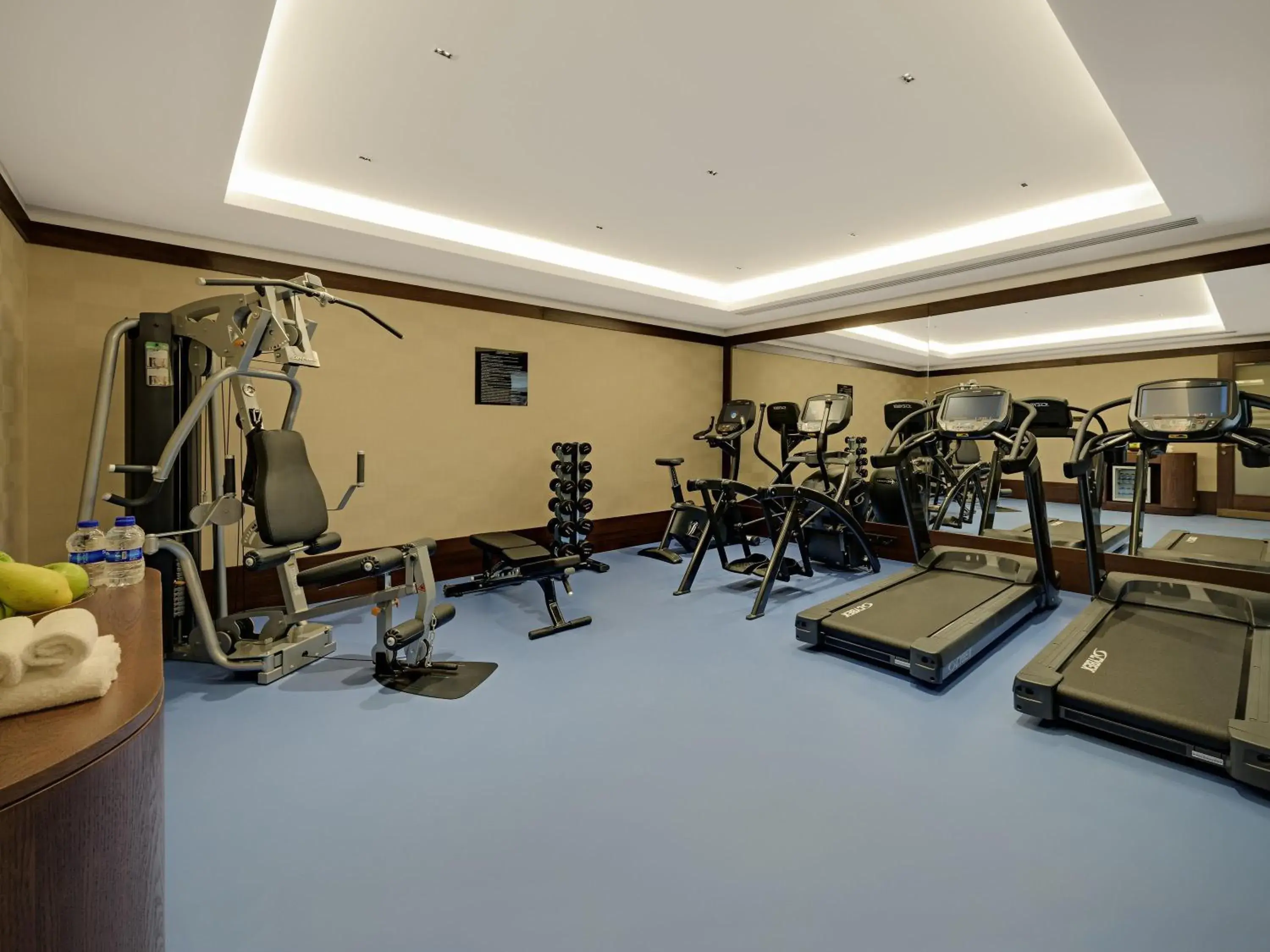 Fitness centre/facilities in The Galata Hotel Istanbul - MGallery Collection Fitness centre/facilities in The Galata Hotel Istanbul - MGallery Collection
