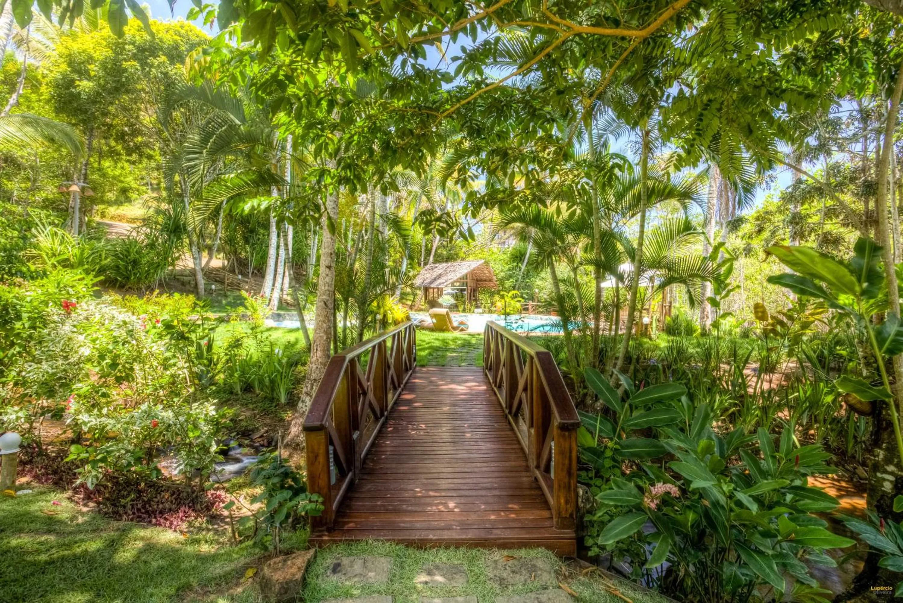 Natural landscape in Itacaré Eco Resort