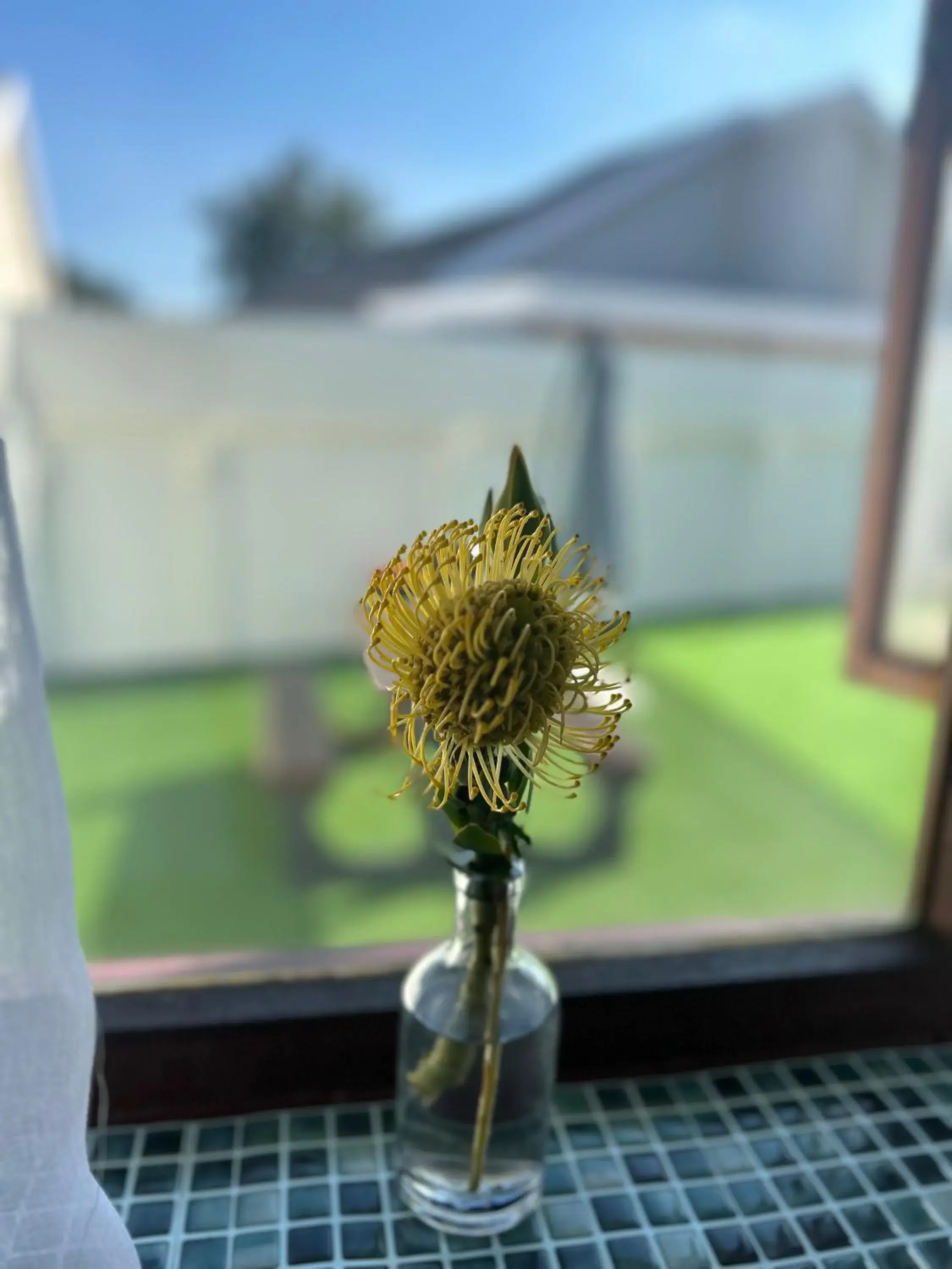 Standard Queen Room in Dolliwarie Guesthouse Standard Queen Room in Dolliwarie Guesthouse