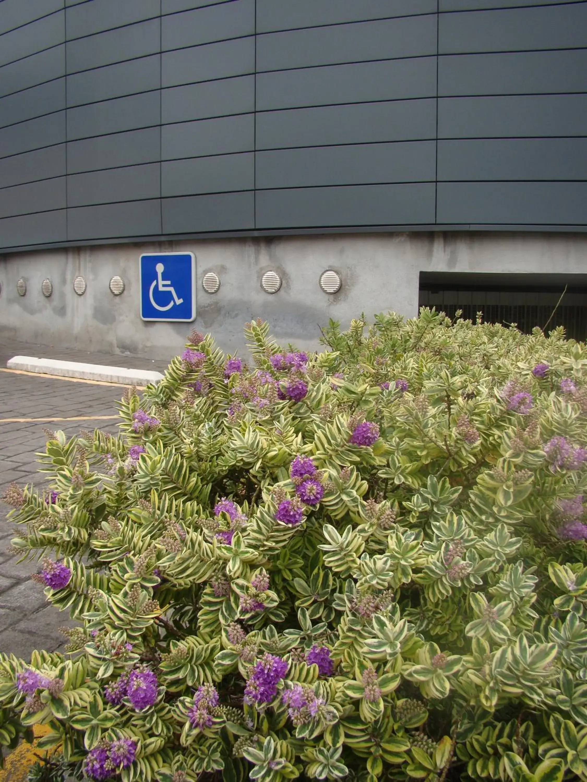 Facade/entrance in Hotel Ortuella Facade/entrance in Hotel Ortuella