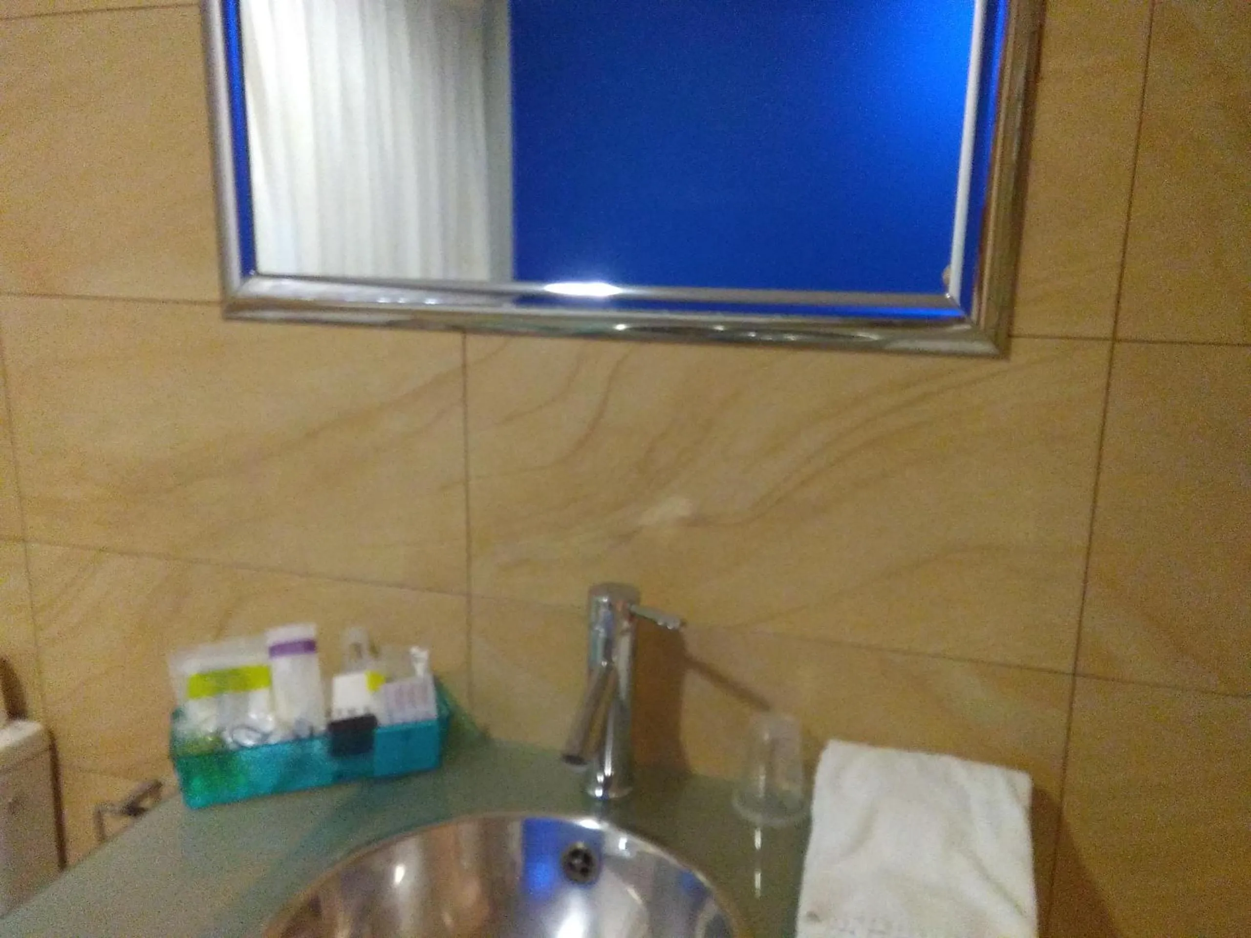 Decorative detail, Bathroom in Hotel Ciudad de Corella