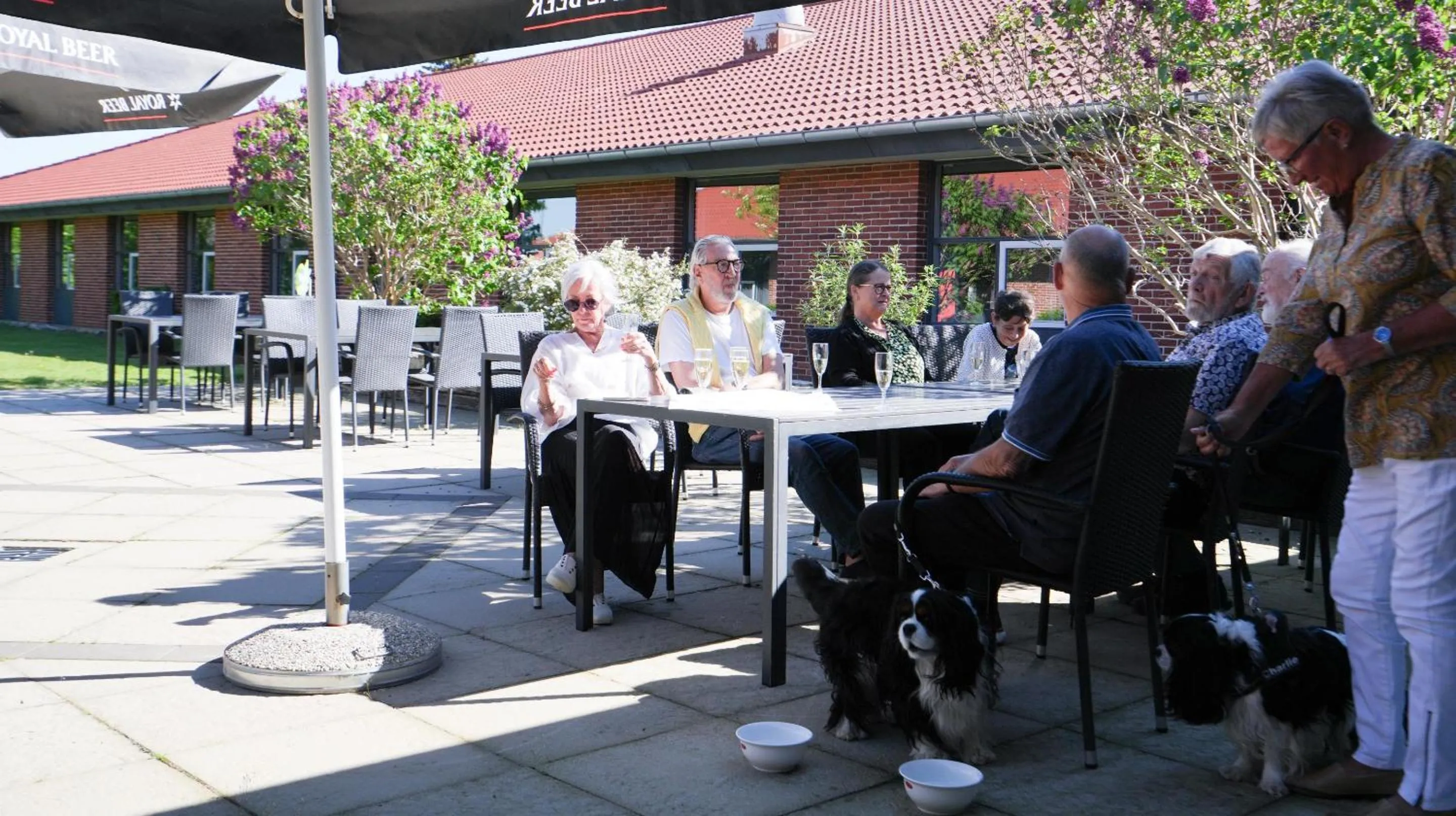 Restaurant/places to eat in Hotel Lynggaarden