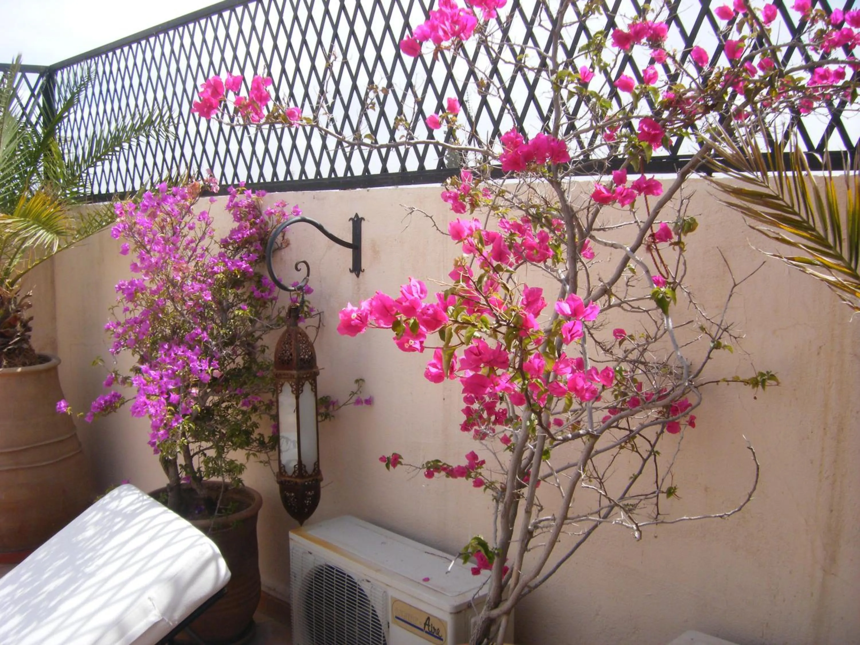 Balcony/Terrace in Riad Irene