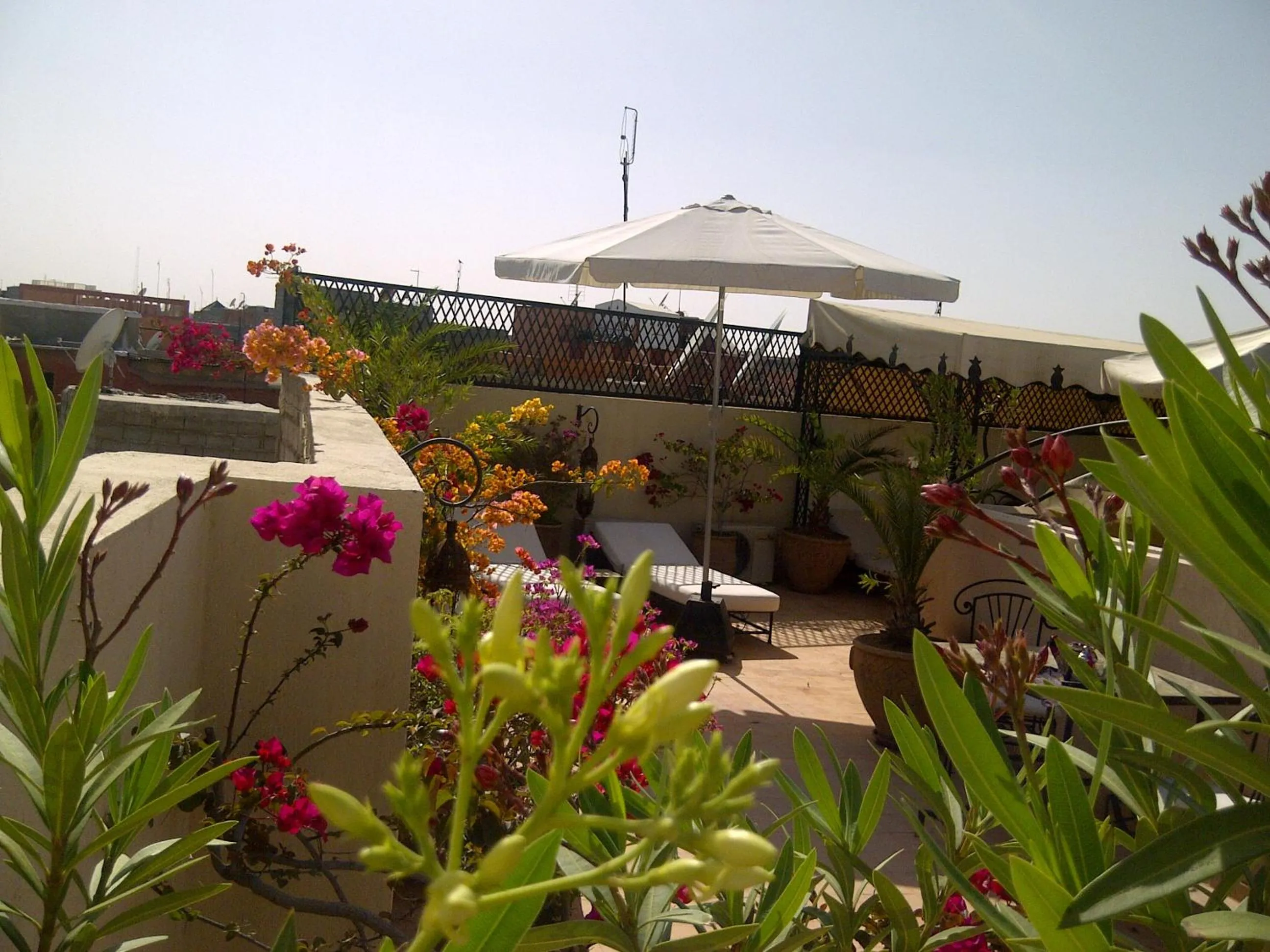 Balcony/Terrace in Riad Irene