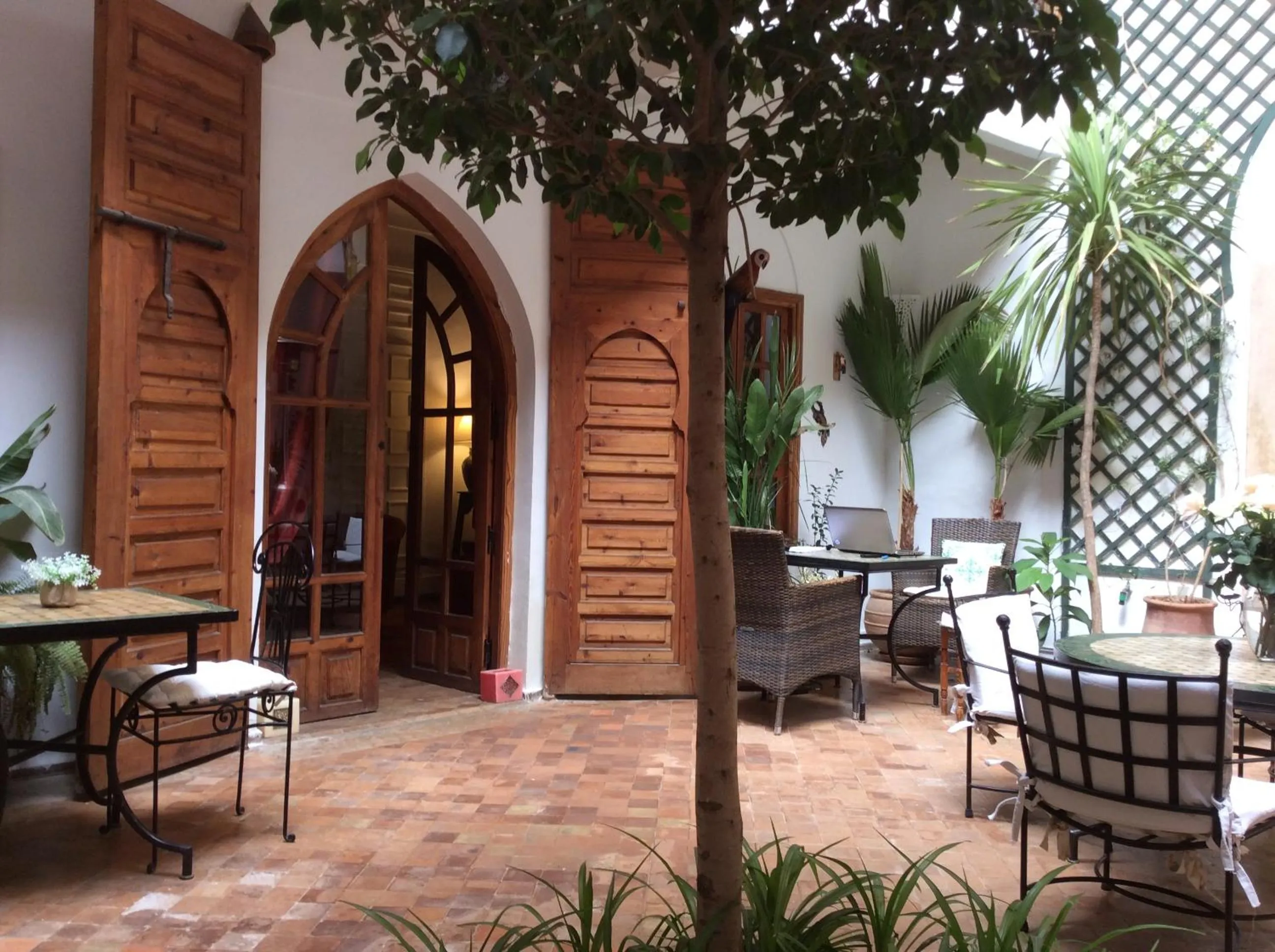 Garden in Riad Irene