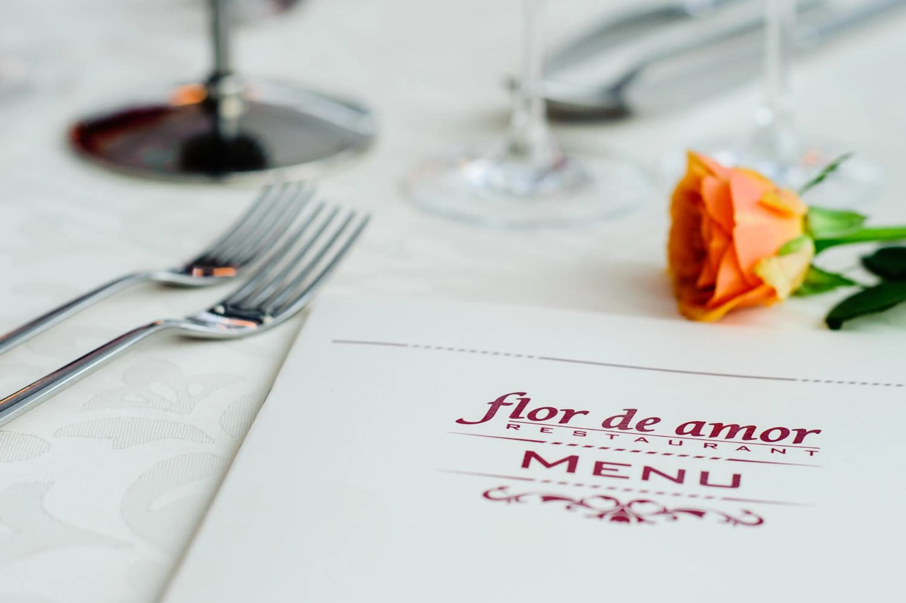 Logo/Certificate/Sign in Hotel Magnus Trenčín