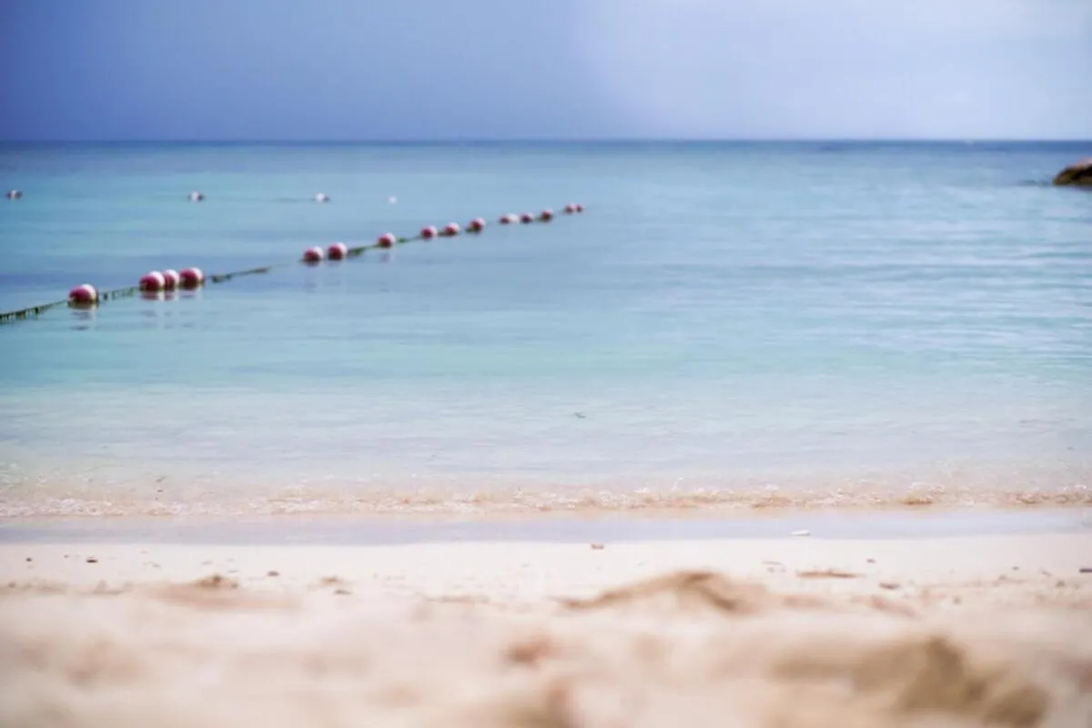 One Love Cozy Studio Seawind On The Bay