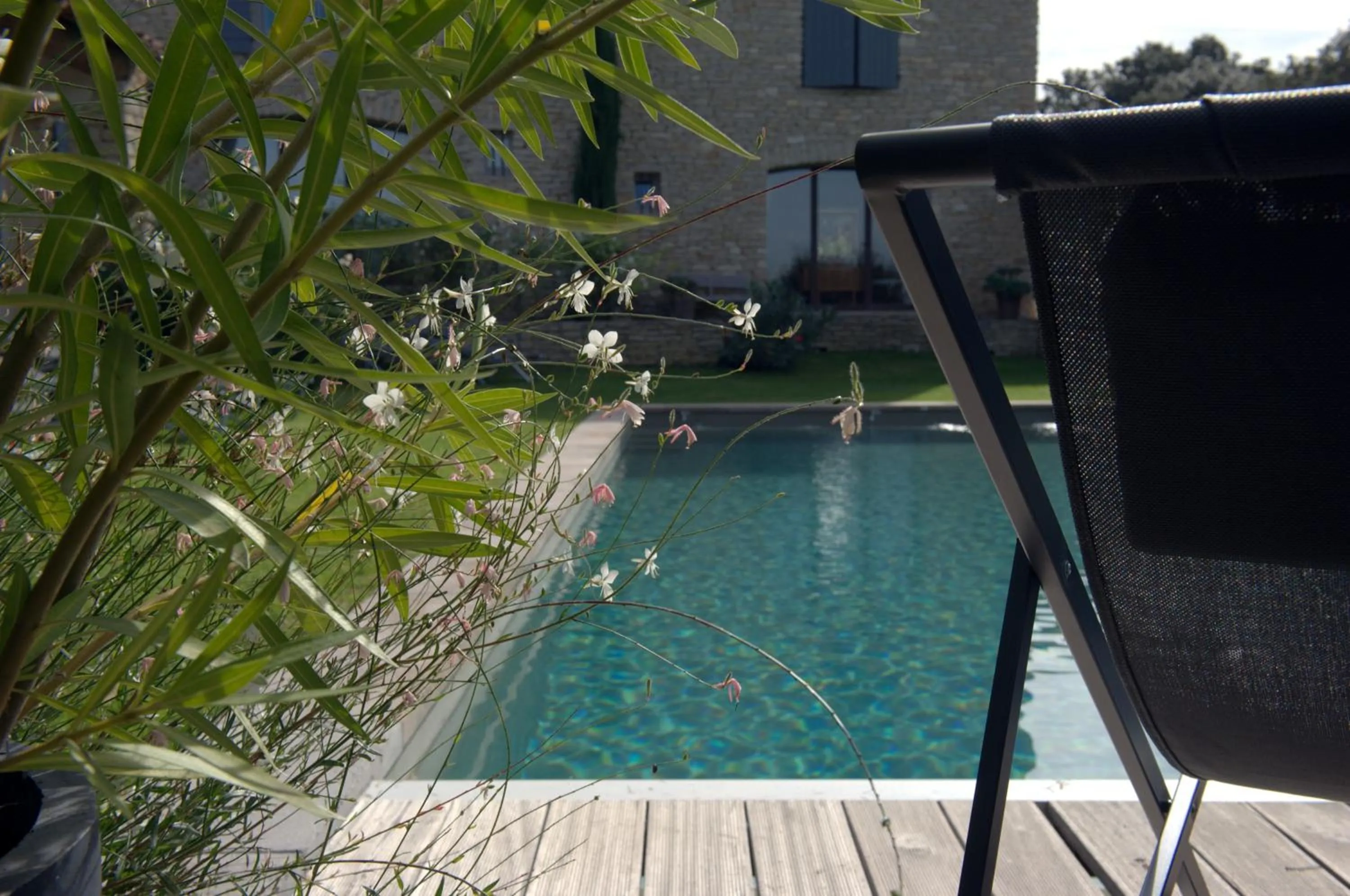 Swimming pool in Les Terrasses - Gordes