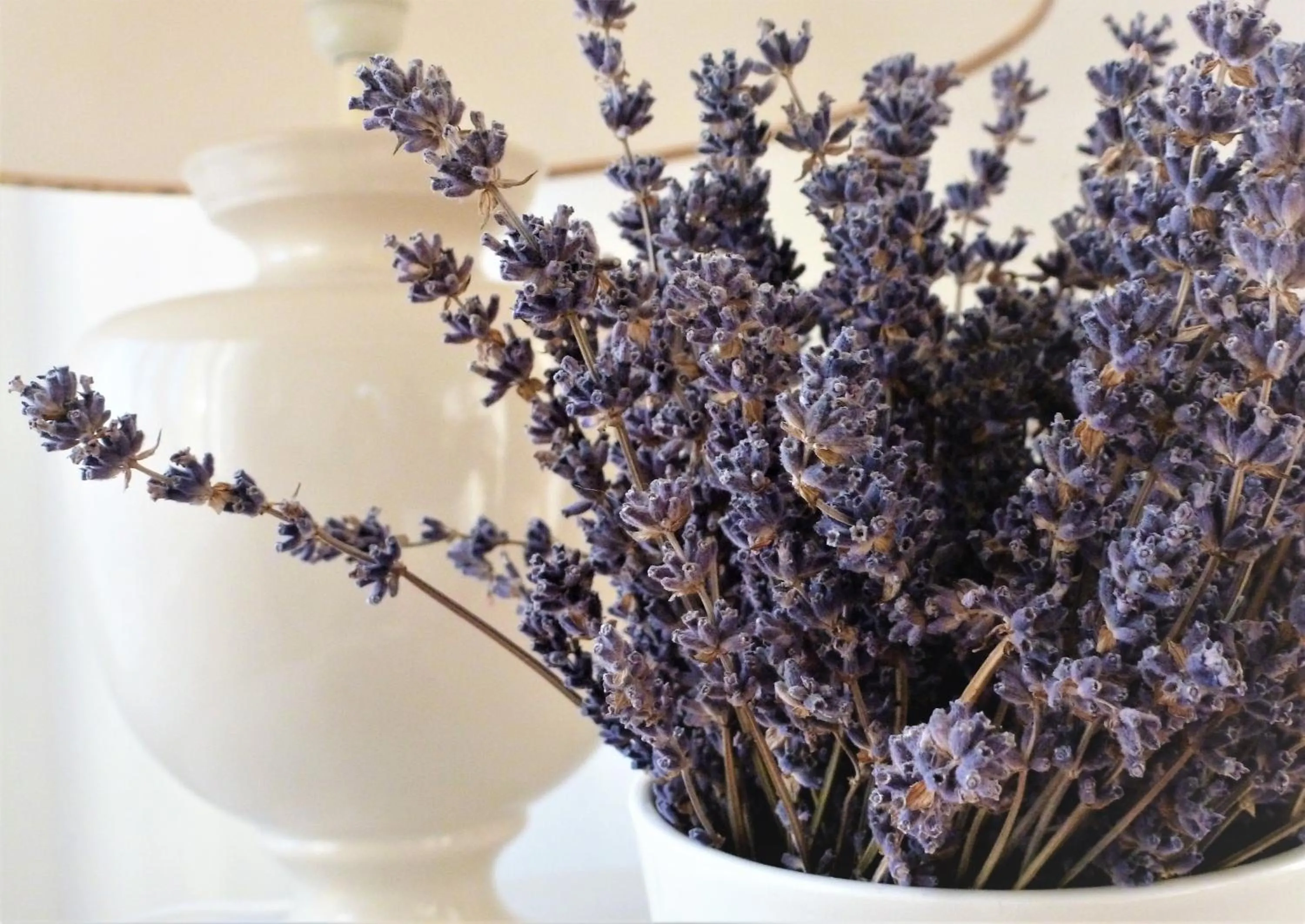 Les Terrasses - Gordes