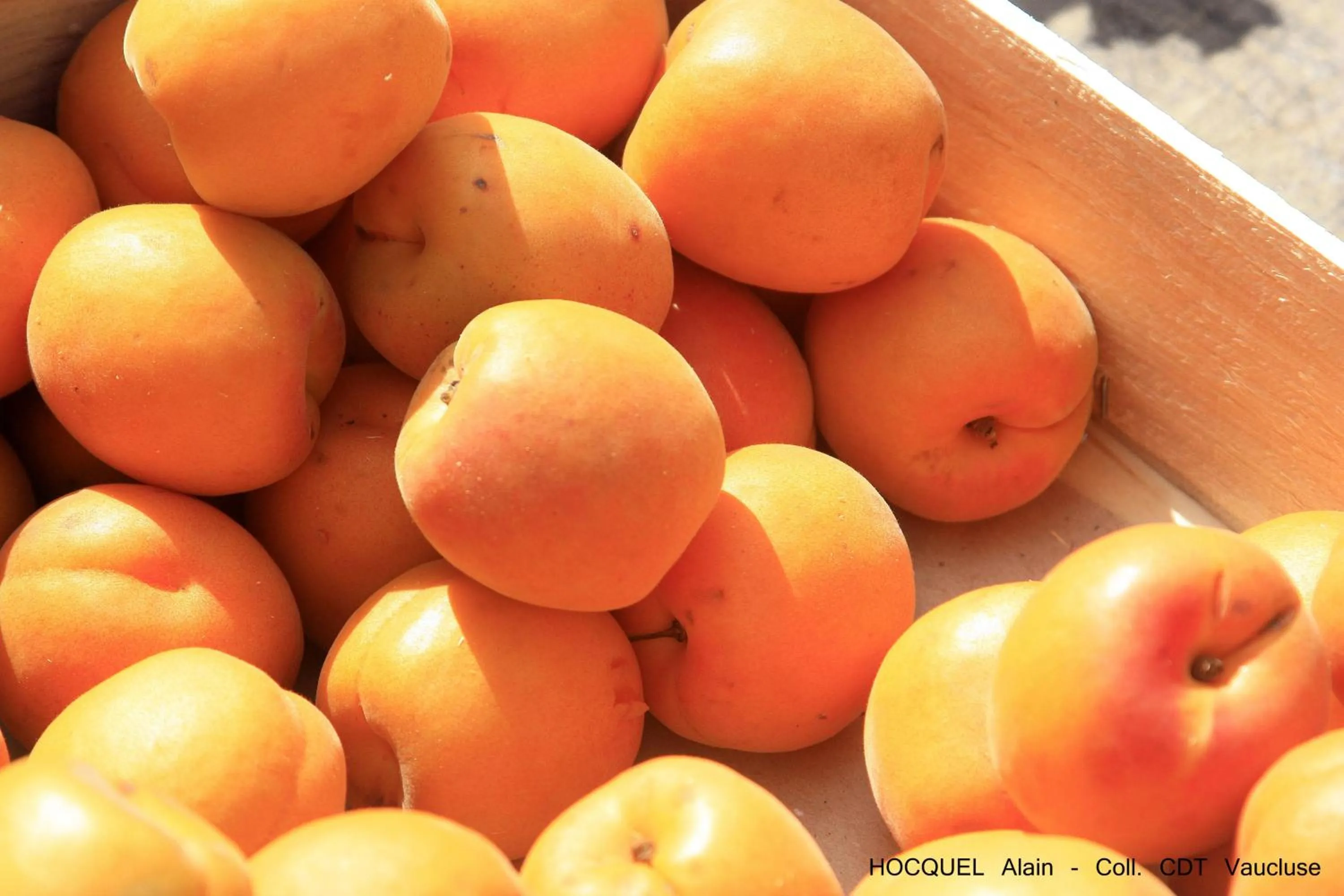 Other in Les Terrasses - Gordes