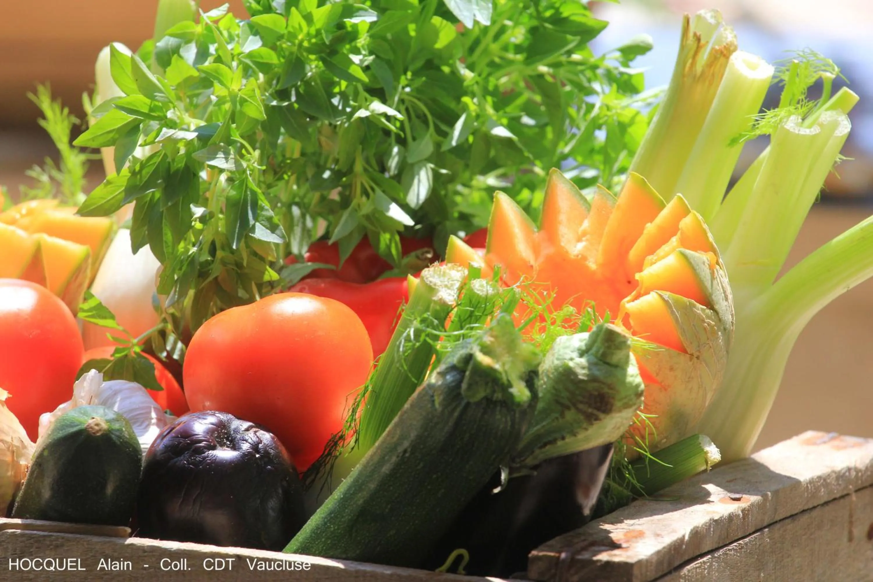 Other in Les Terrasses - Gordes