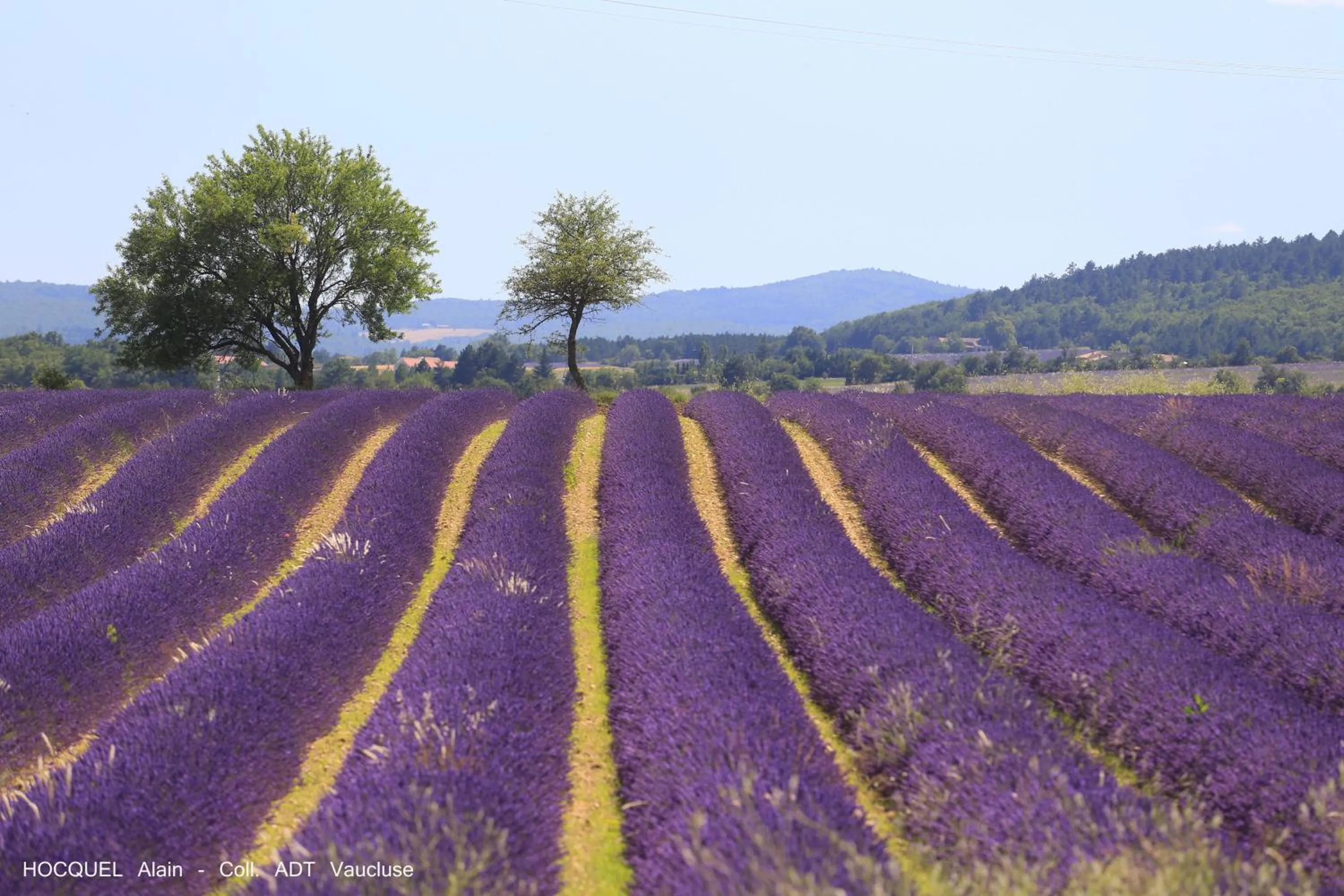 Nearby landmark in Les Terrasses - Gordes