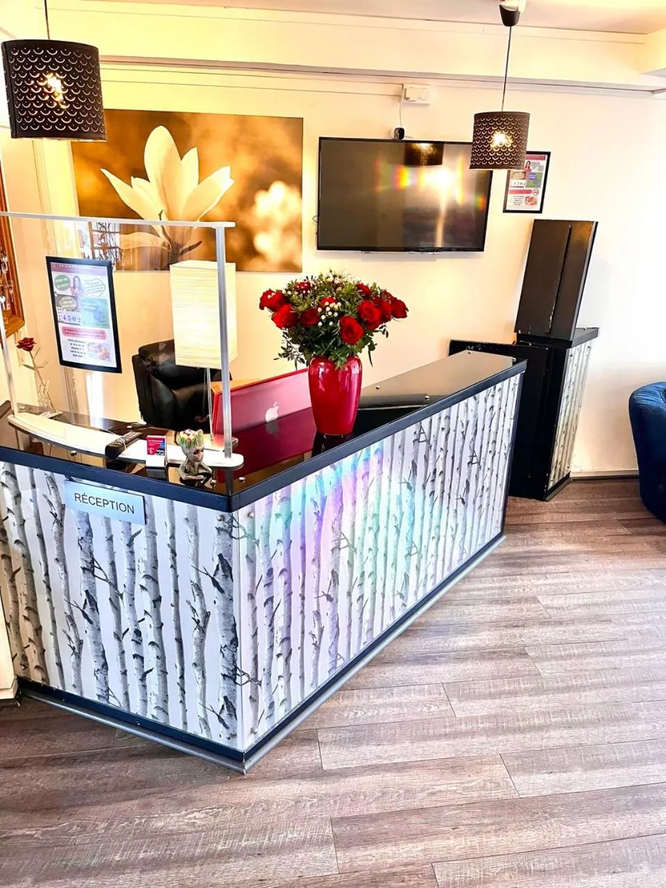 Cit'Hotel Capricorne