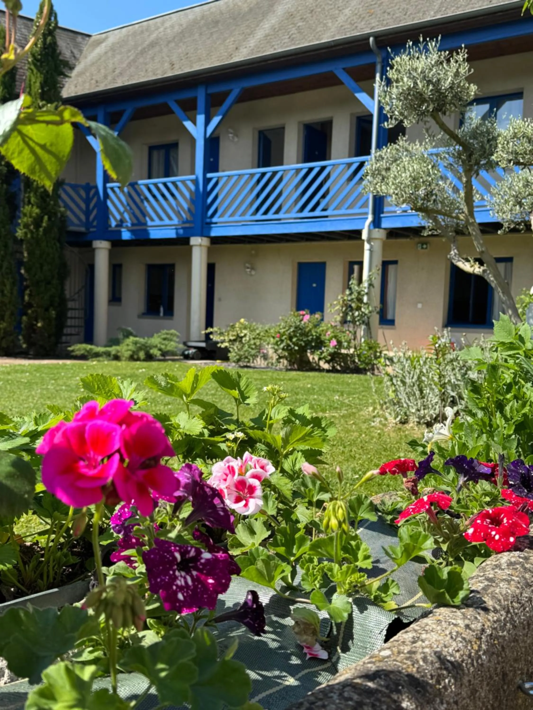 Garden in Cit'Hotel Capricorne
