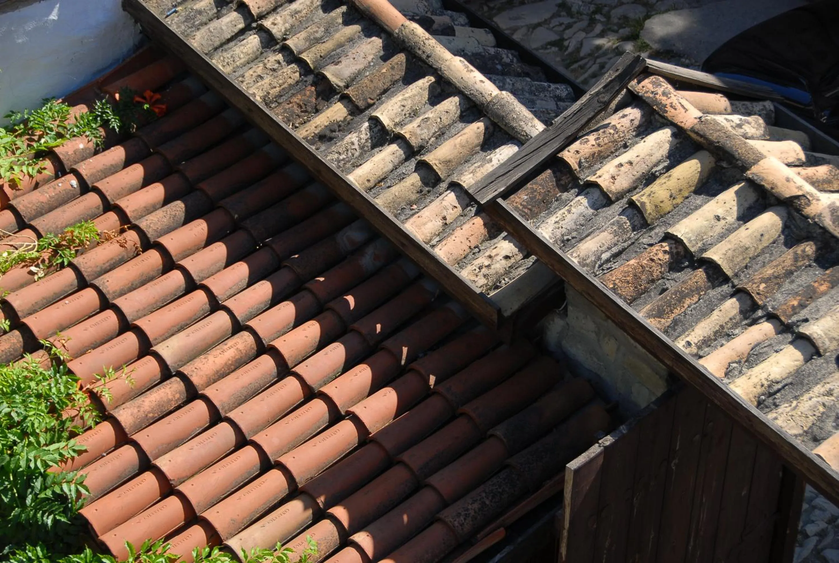 Decorative detail in Mehves Hanim Konagi