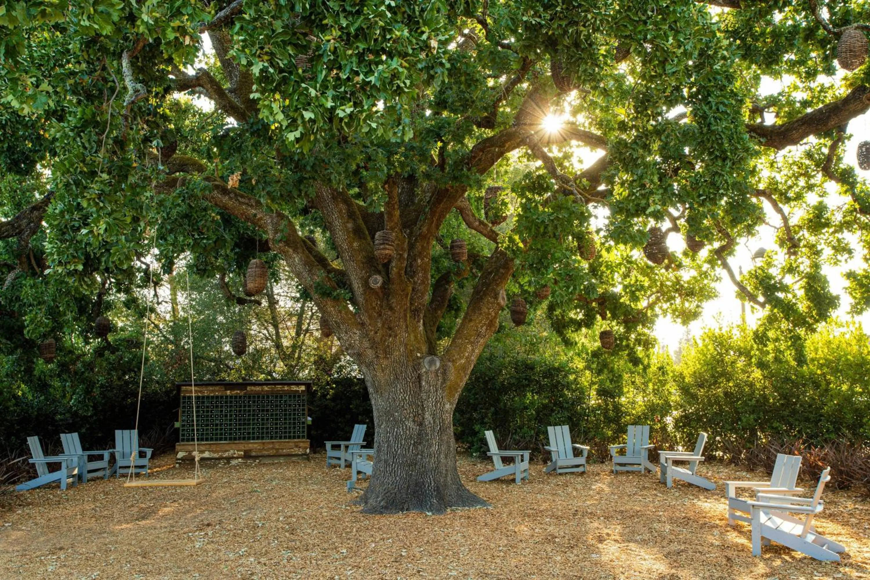 Other in The Lodge at Sonoma Resort, Autograph Collection