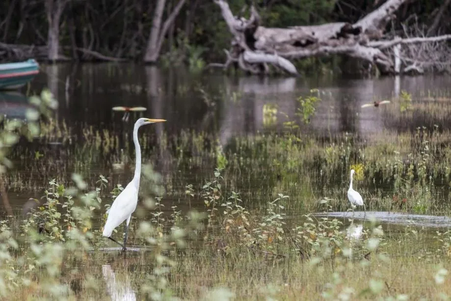 Pousada Recanto Maguary