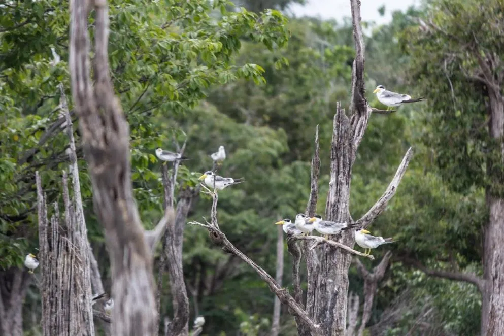 Pousada Recanto Maguary
