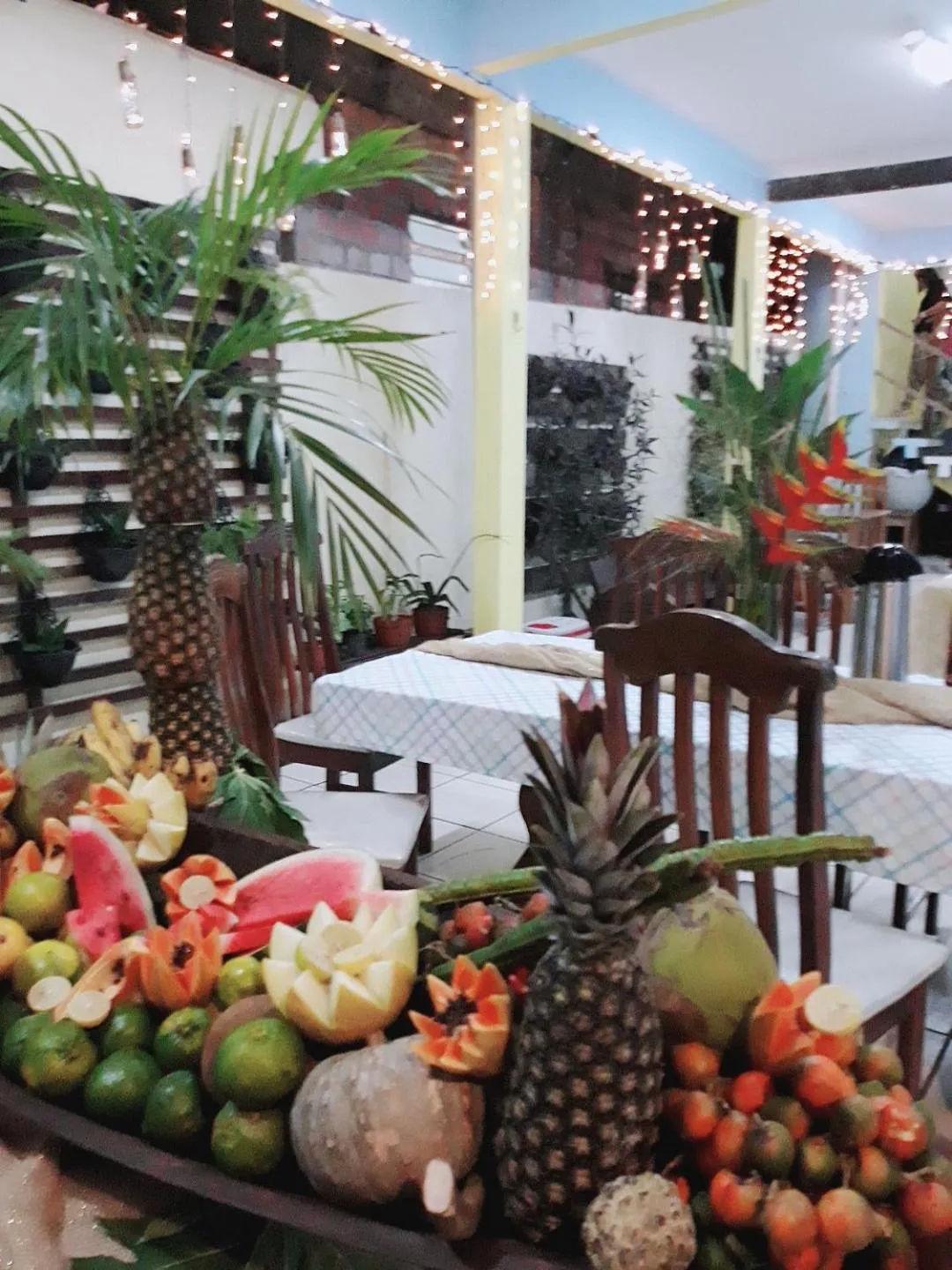 Pousada Recanto Maguary