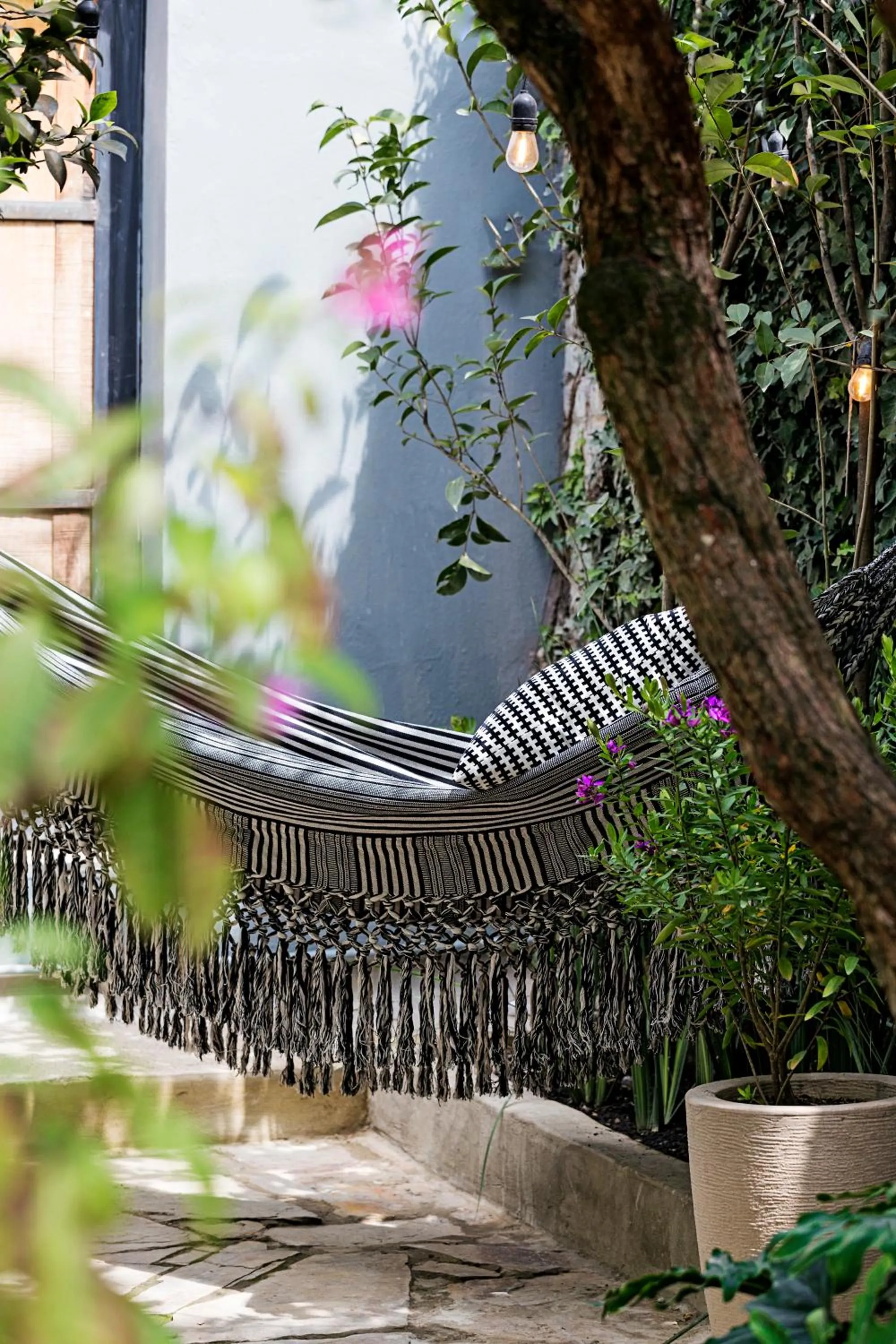 Garden in Casa Legado