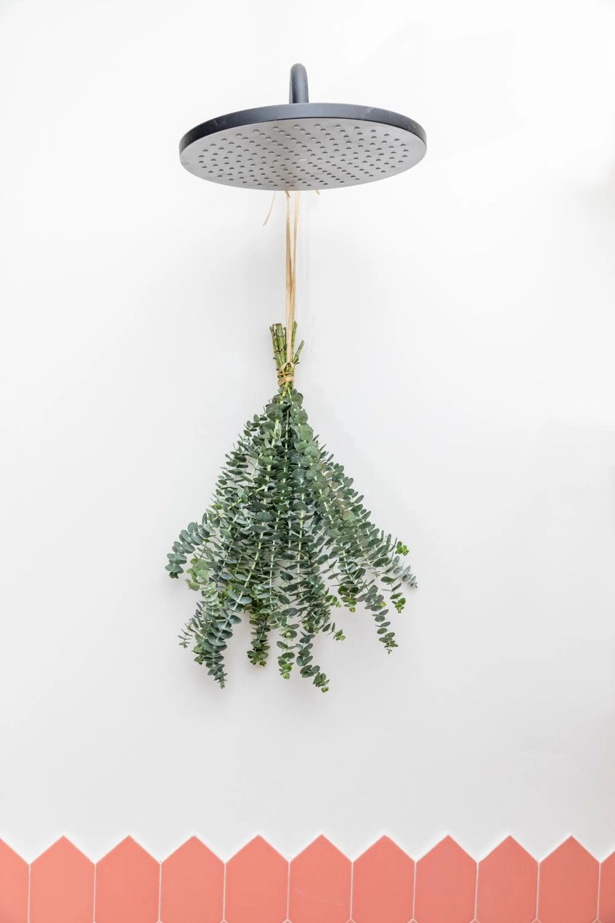 Bathroom in Casa Legado