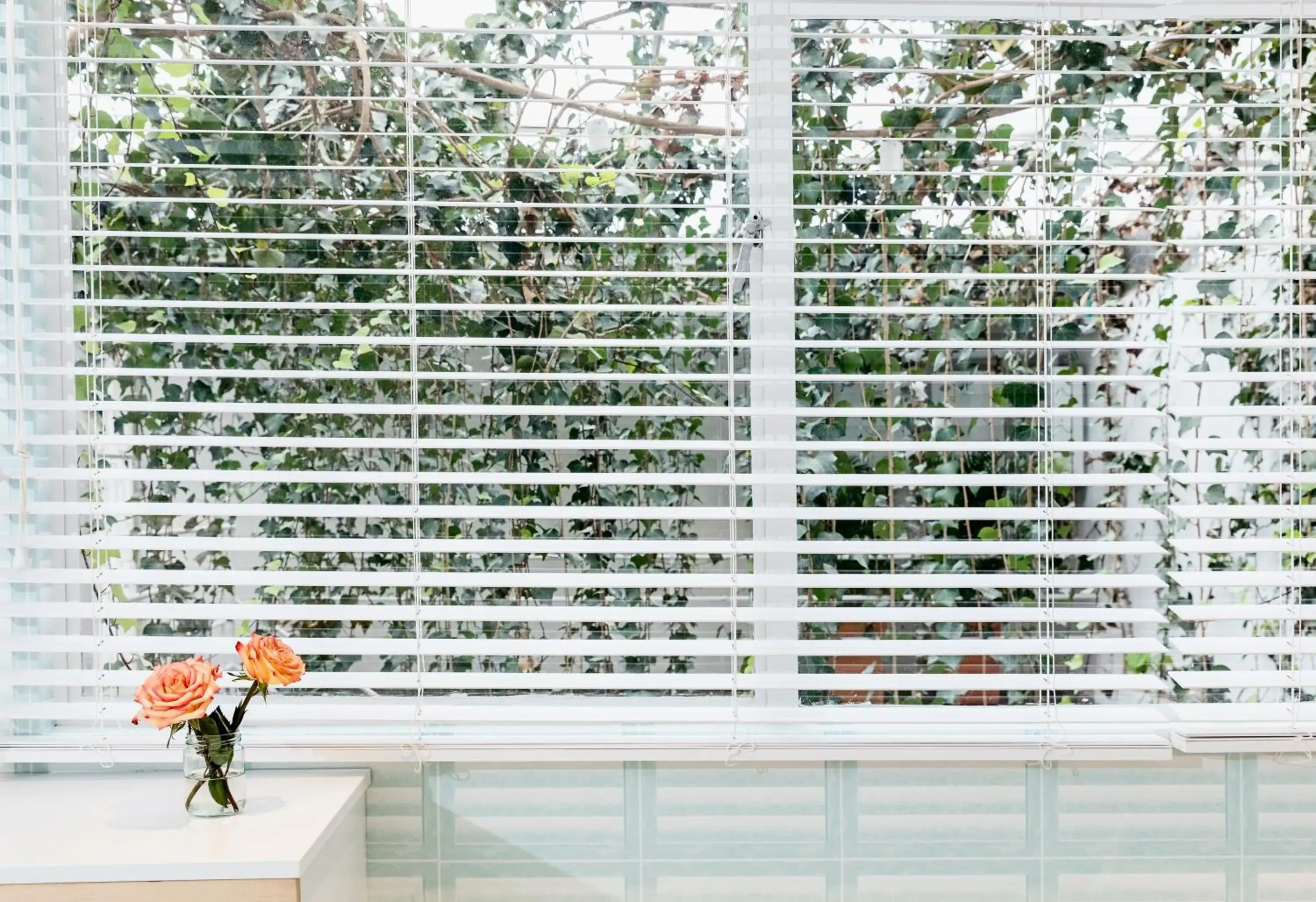 Inner courtyard view in Casa Legado Inner courtyard view in Casa Legado