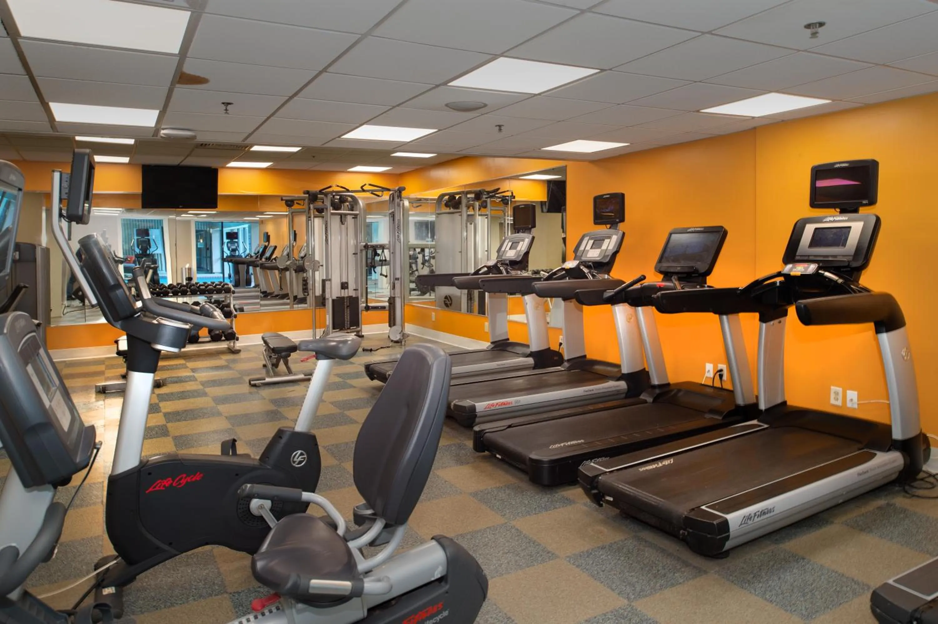 Fitness centre/facilities in Marriott St. Louis Airport