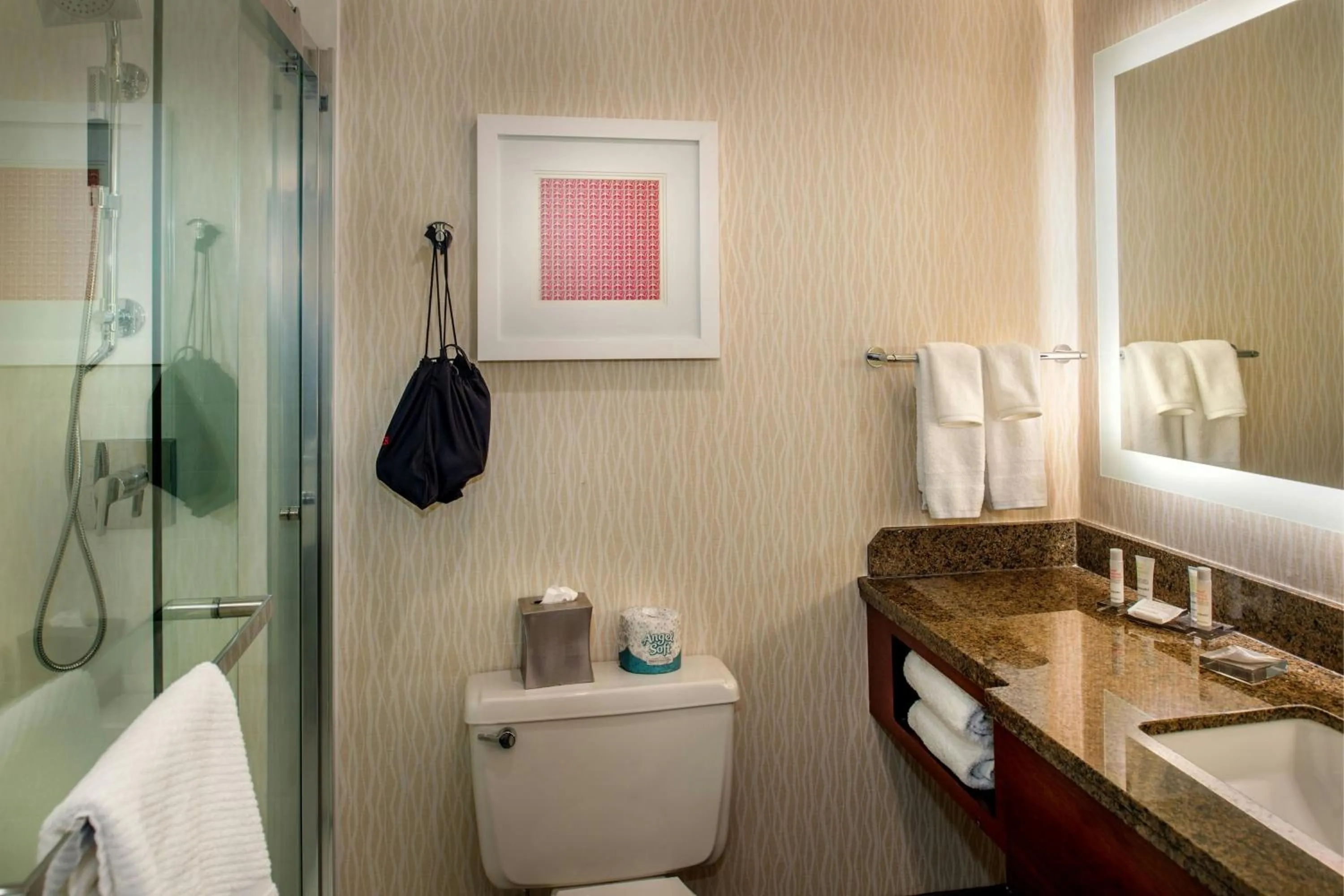 Bathroom in Marriott St. Louis Airport