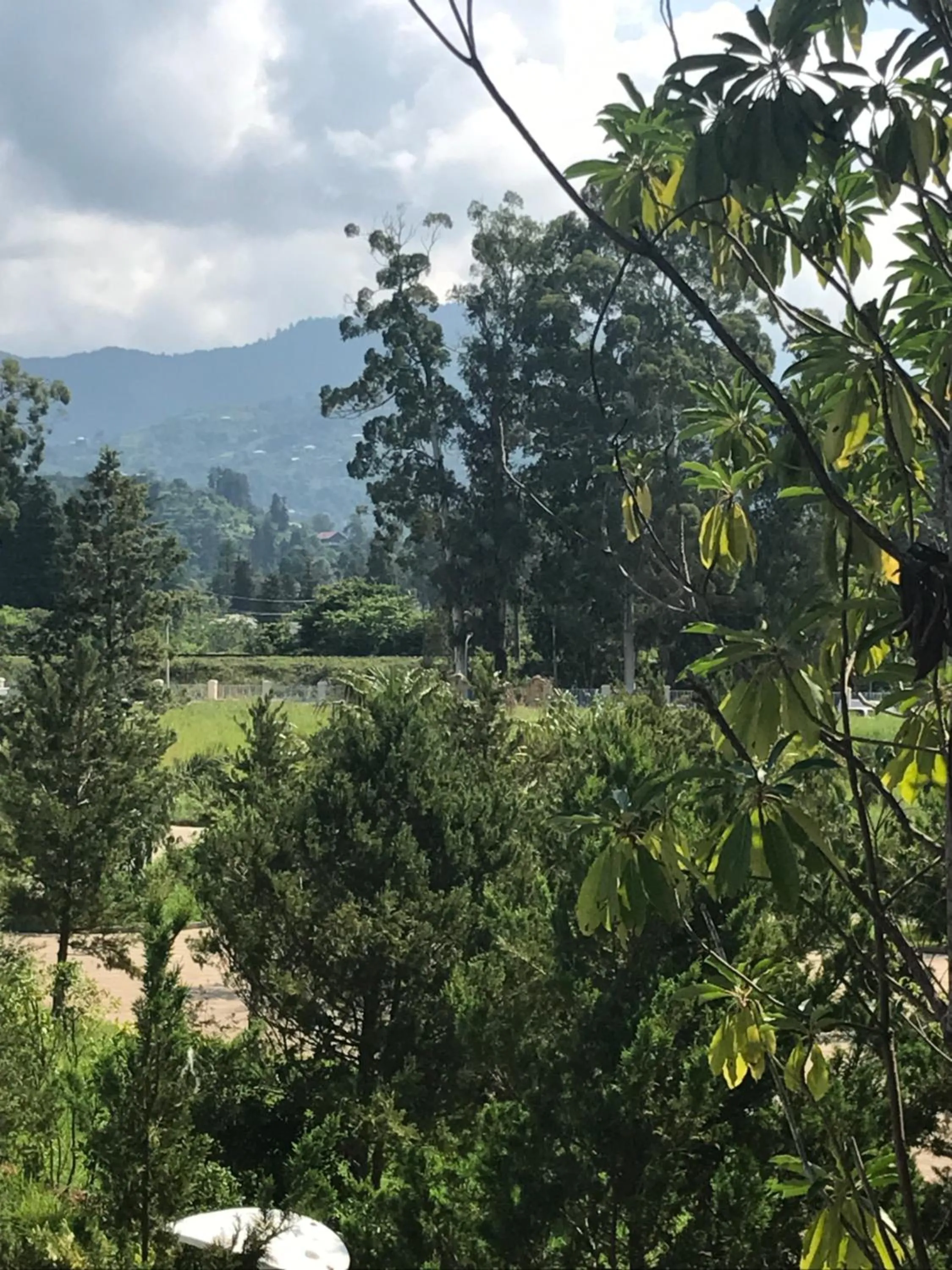 Natural landscape in Ana's Apartment in Chakvi Oasis